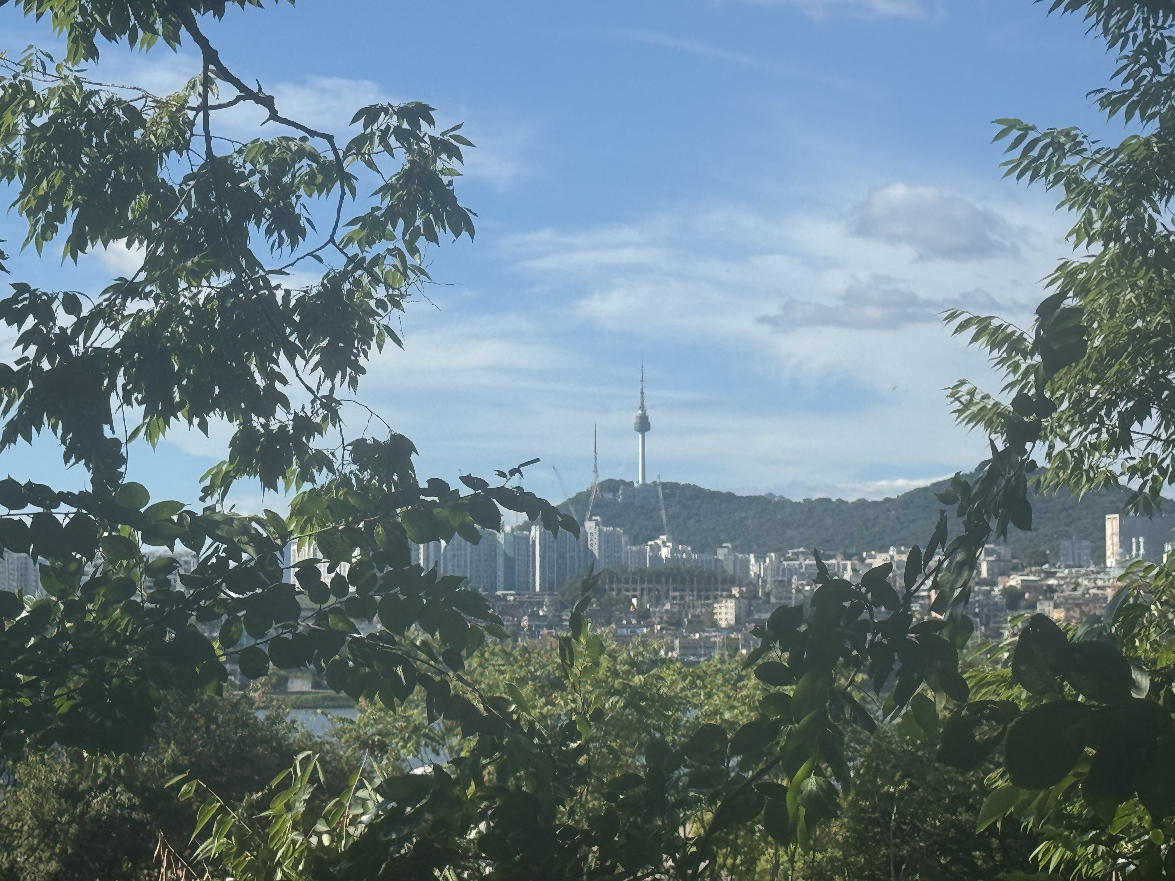 IMG_2026.jpeg