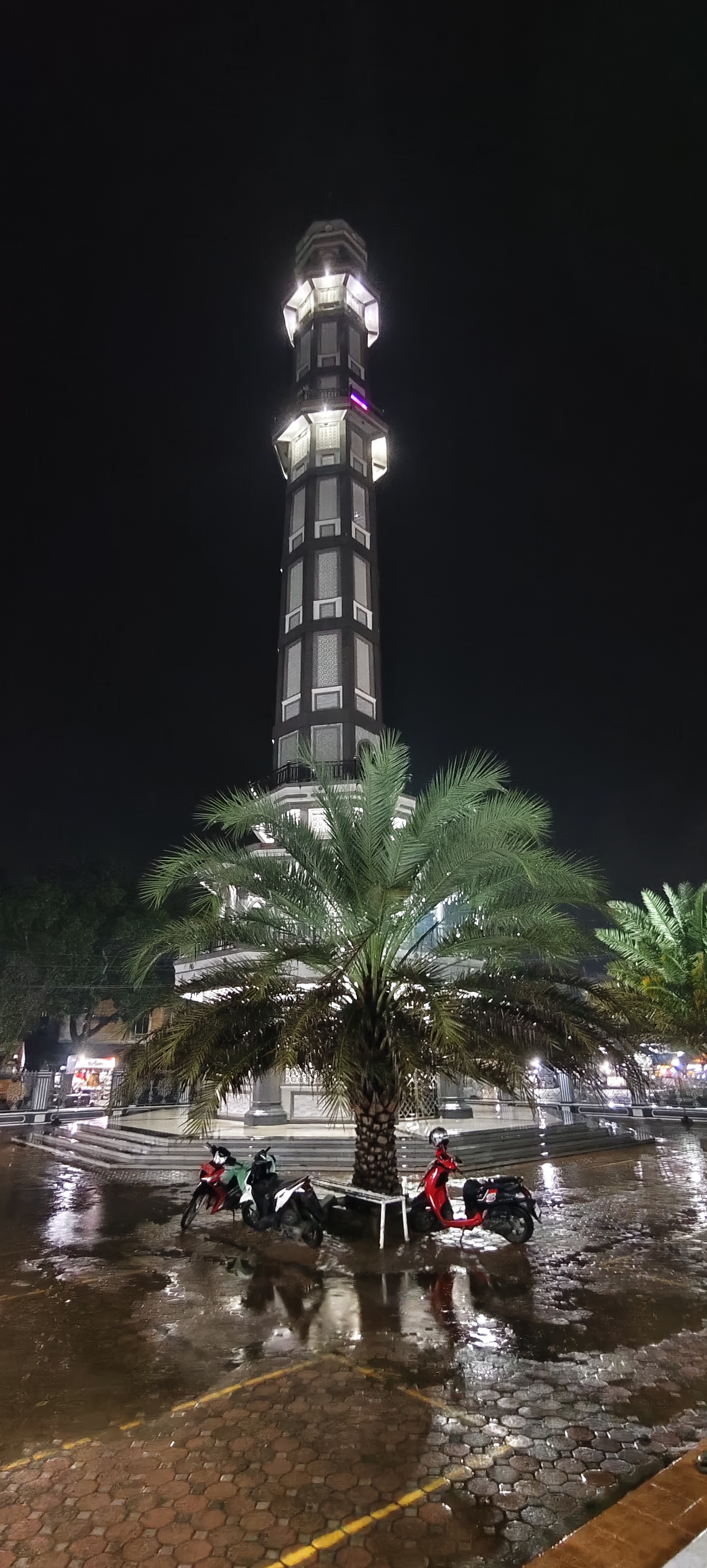 55563.jpg