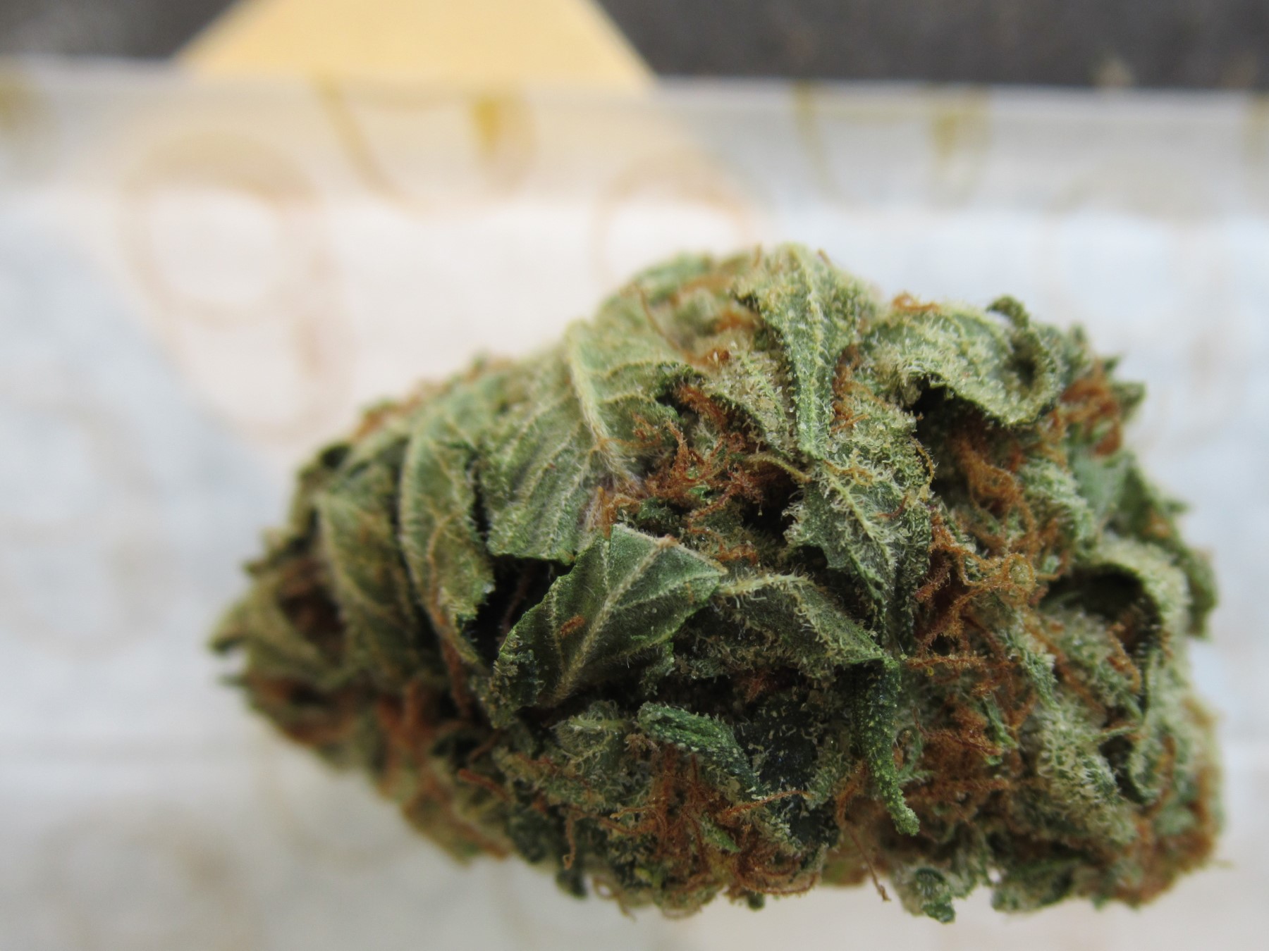 fullnugtopsyslice.jpg