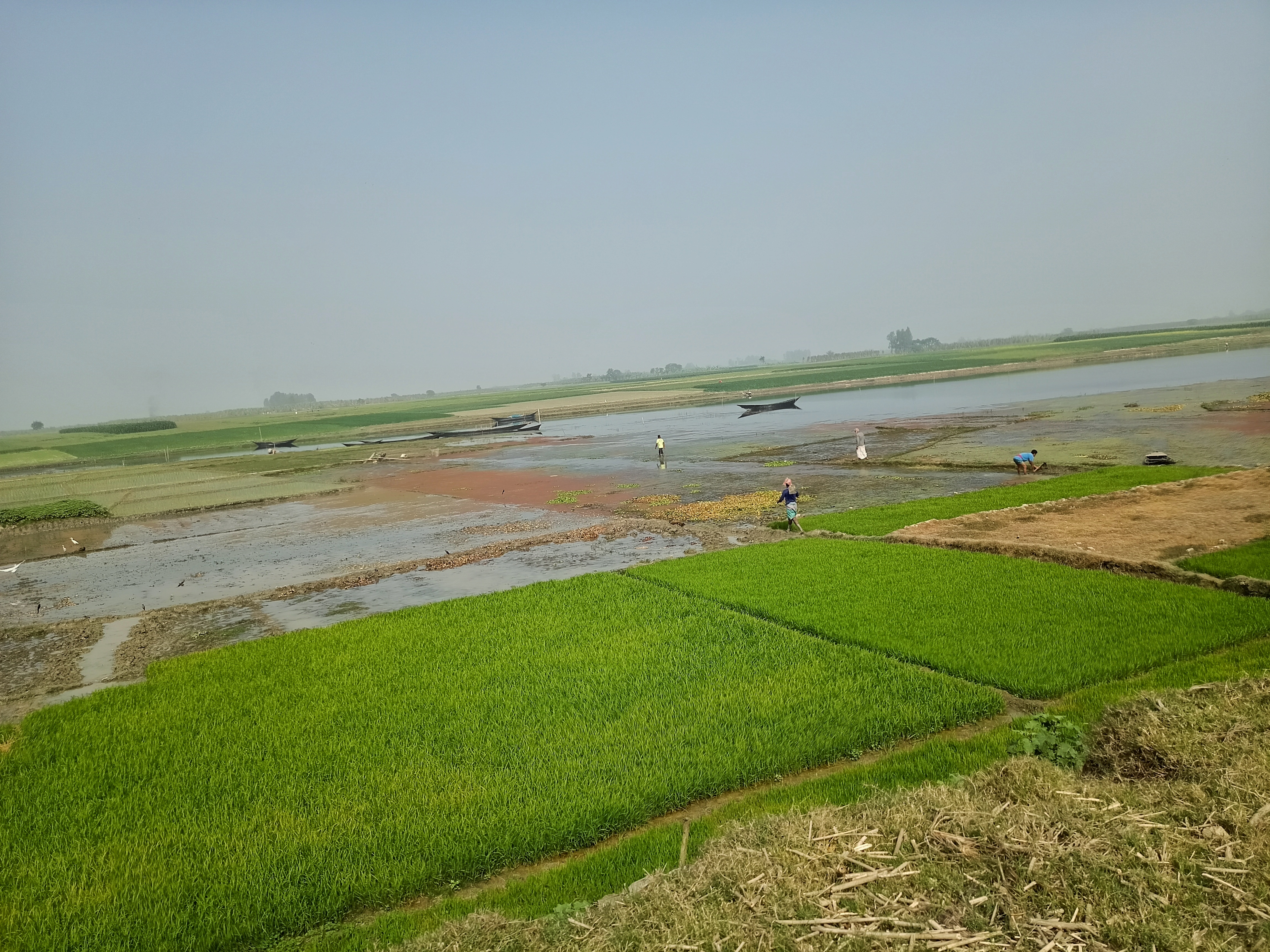 IMG20240109123149-01.jpeg