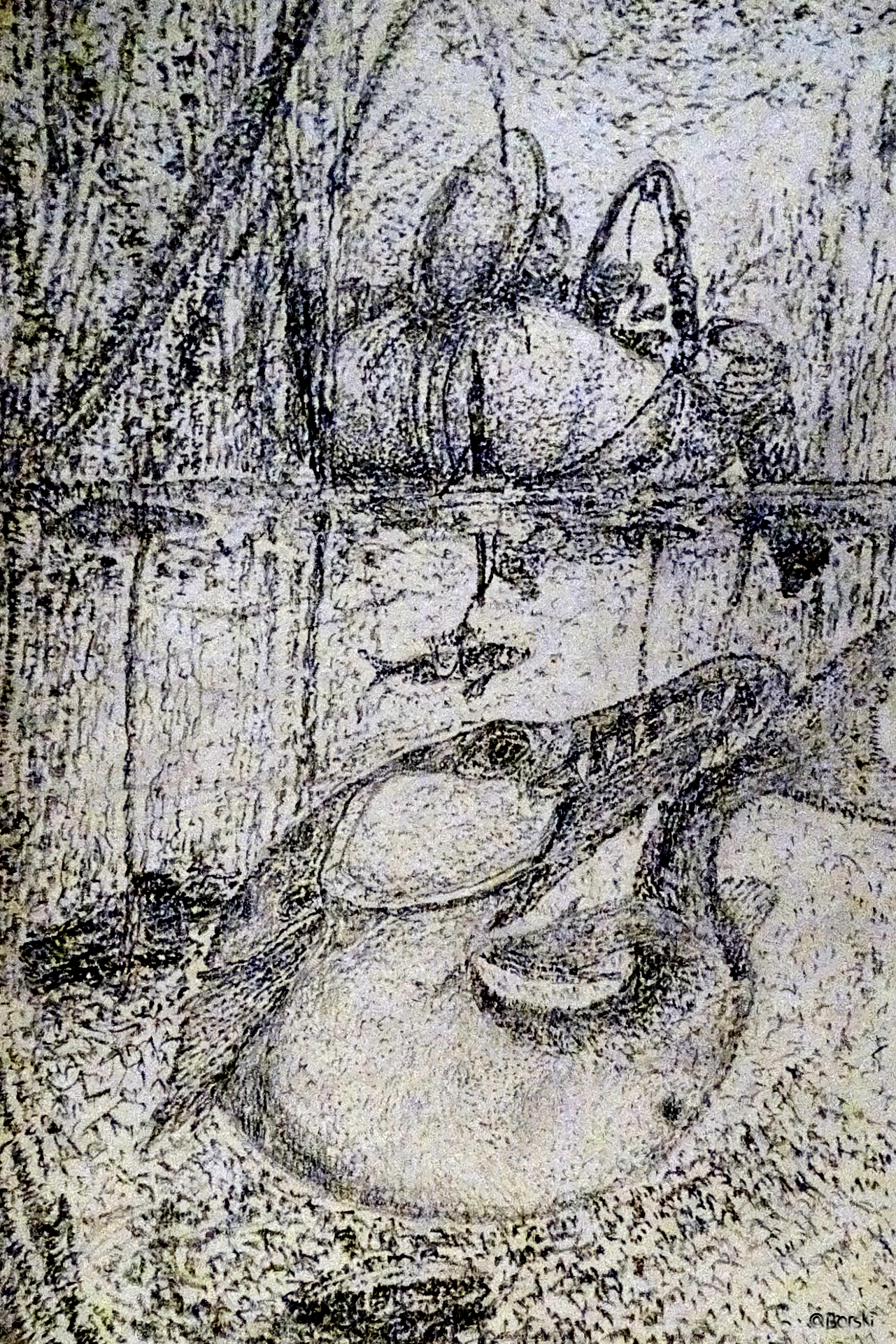 1aDSC09568.png