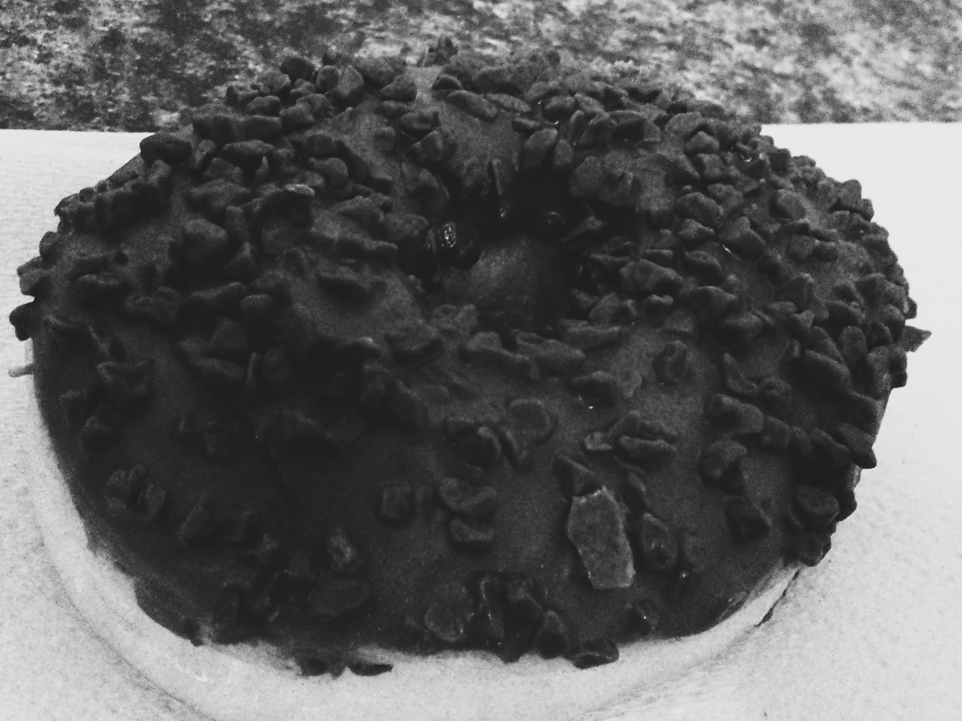 Food Photography, B&W Chocolate Covered Full Donut Close-up Pack From Work May 29 2017.jpg