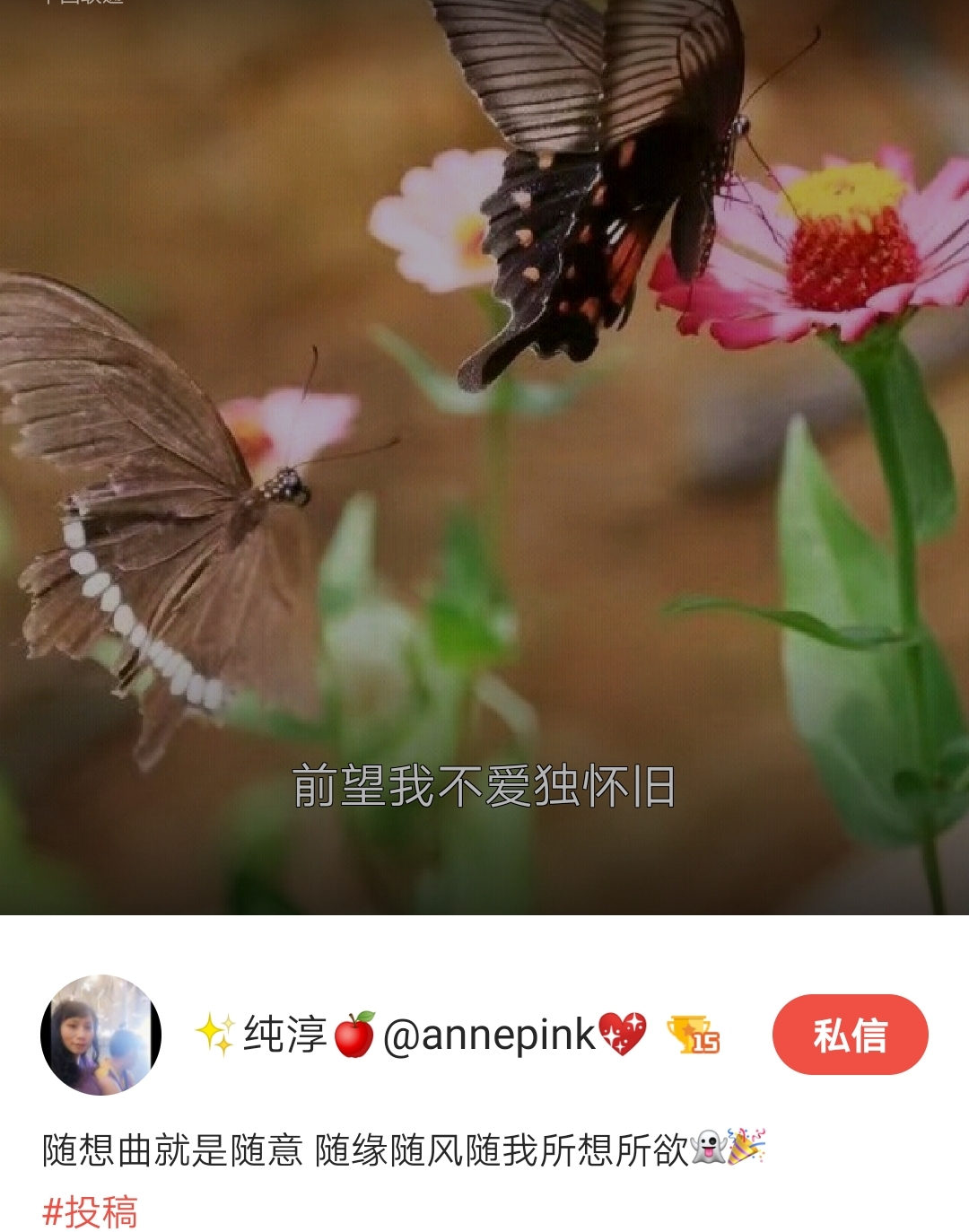 好声音~~随想曲🎵