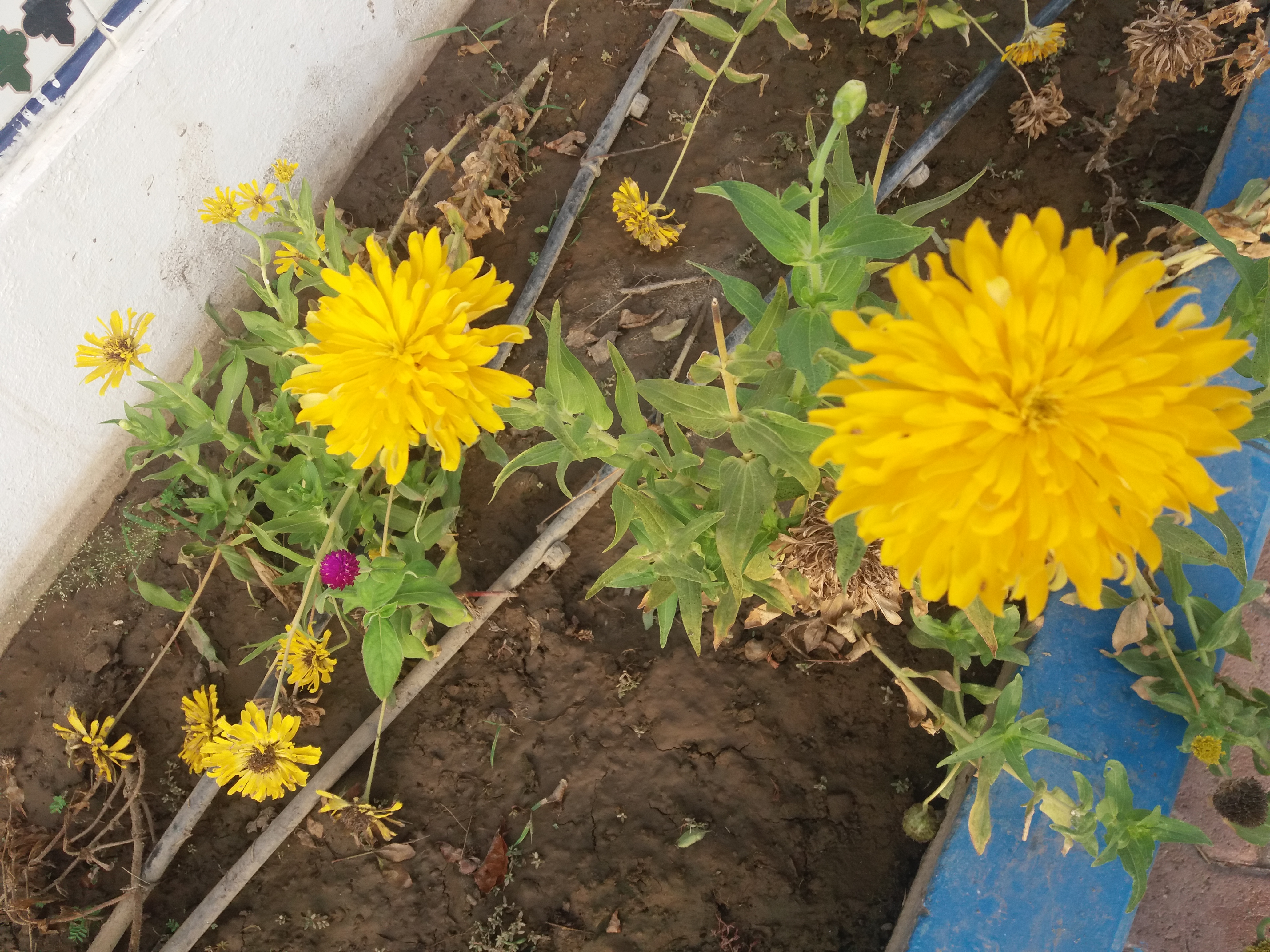20190814_175148.jpg