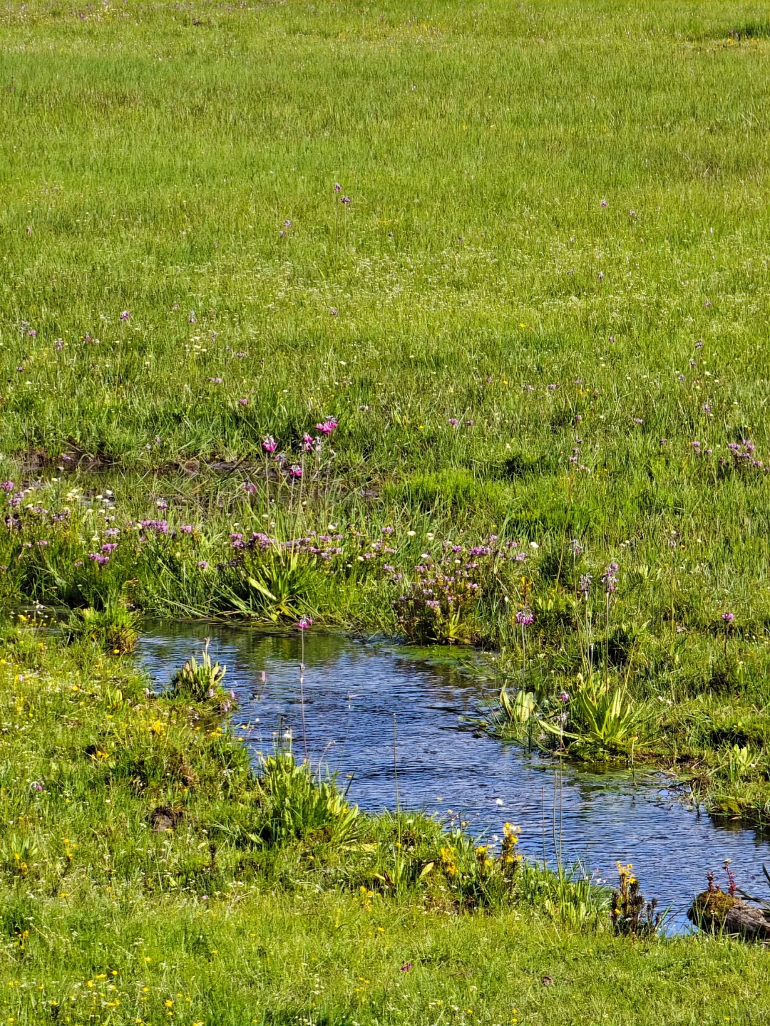 216.webp