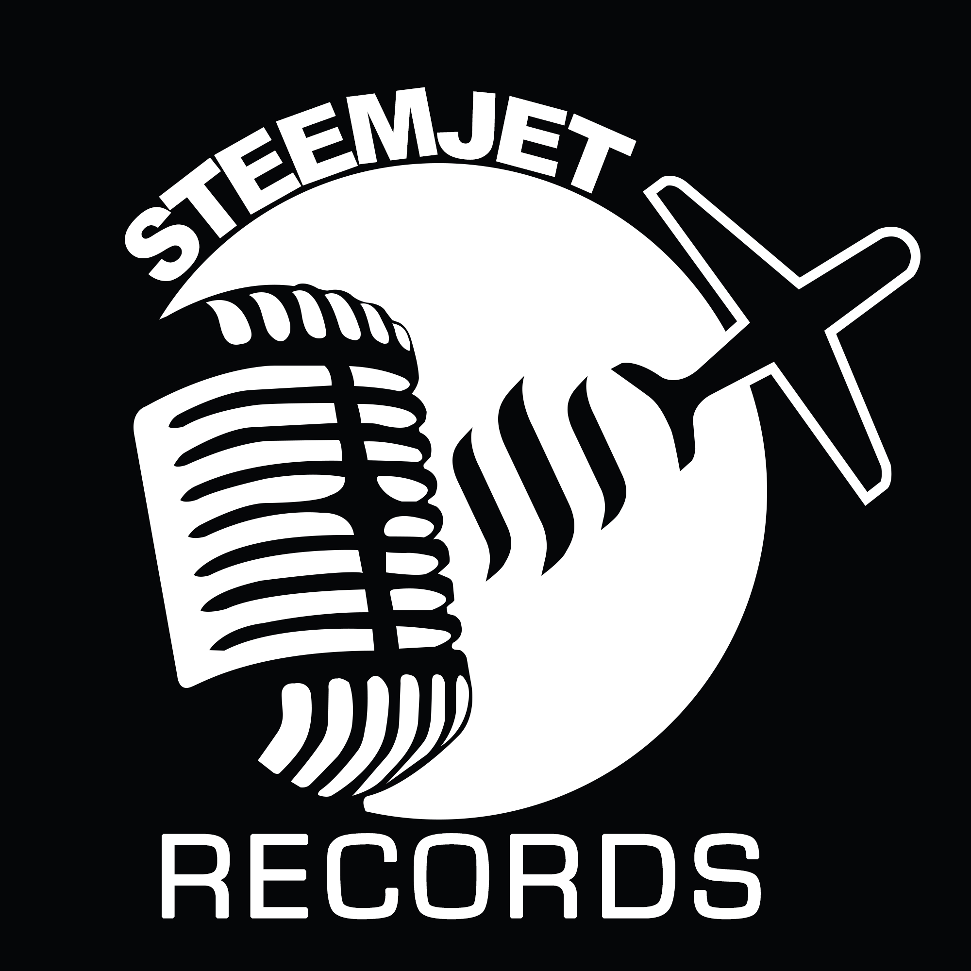 steenjet sistem logo by jacobite.png