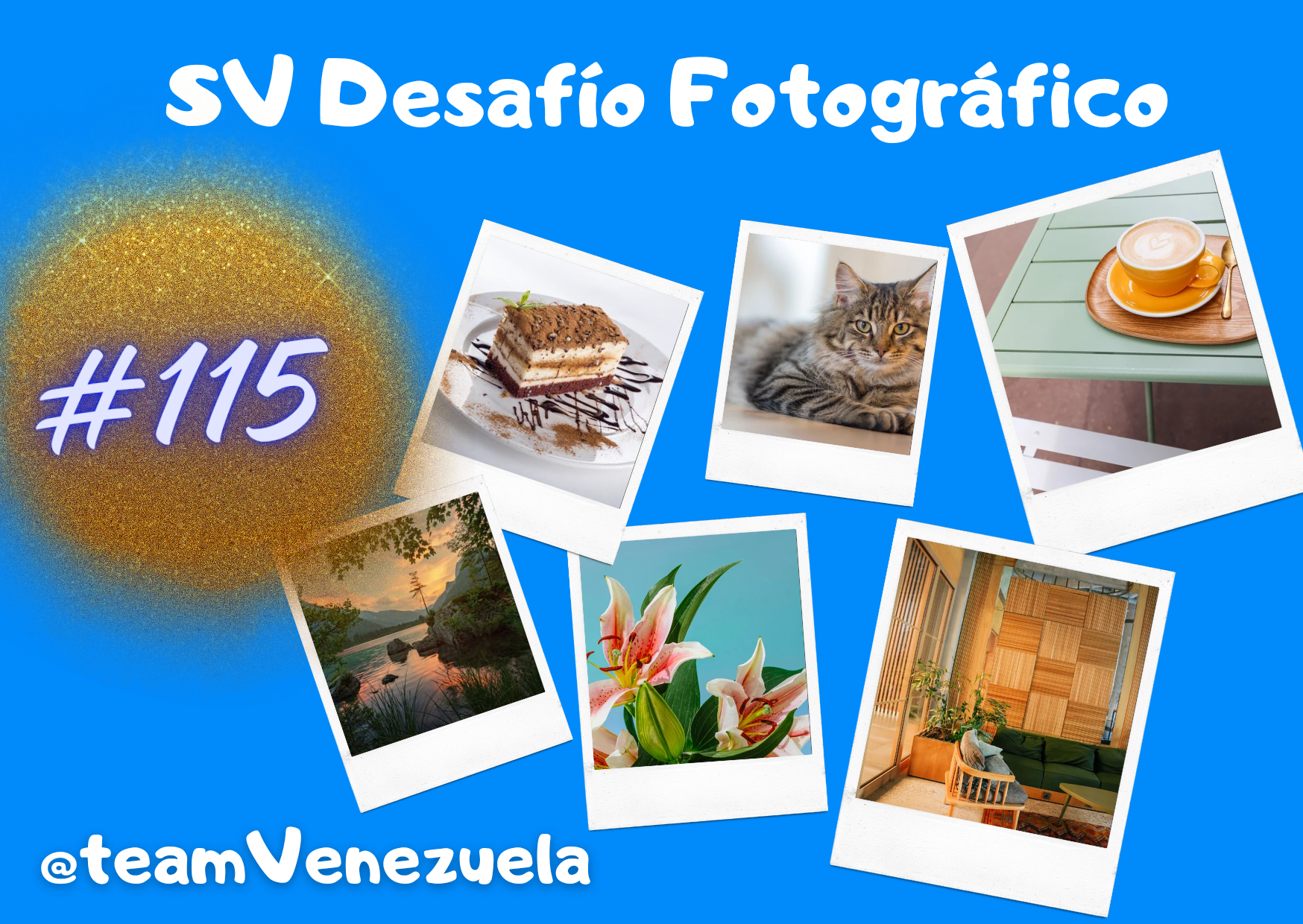 SV diseño _20240701_202132_0000.png