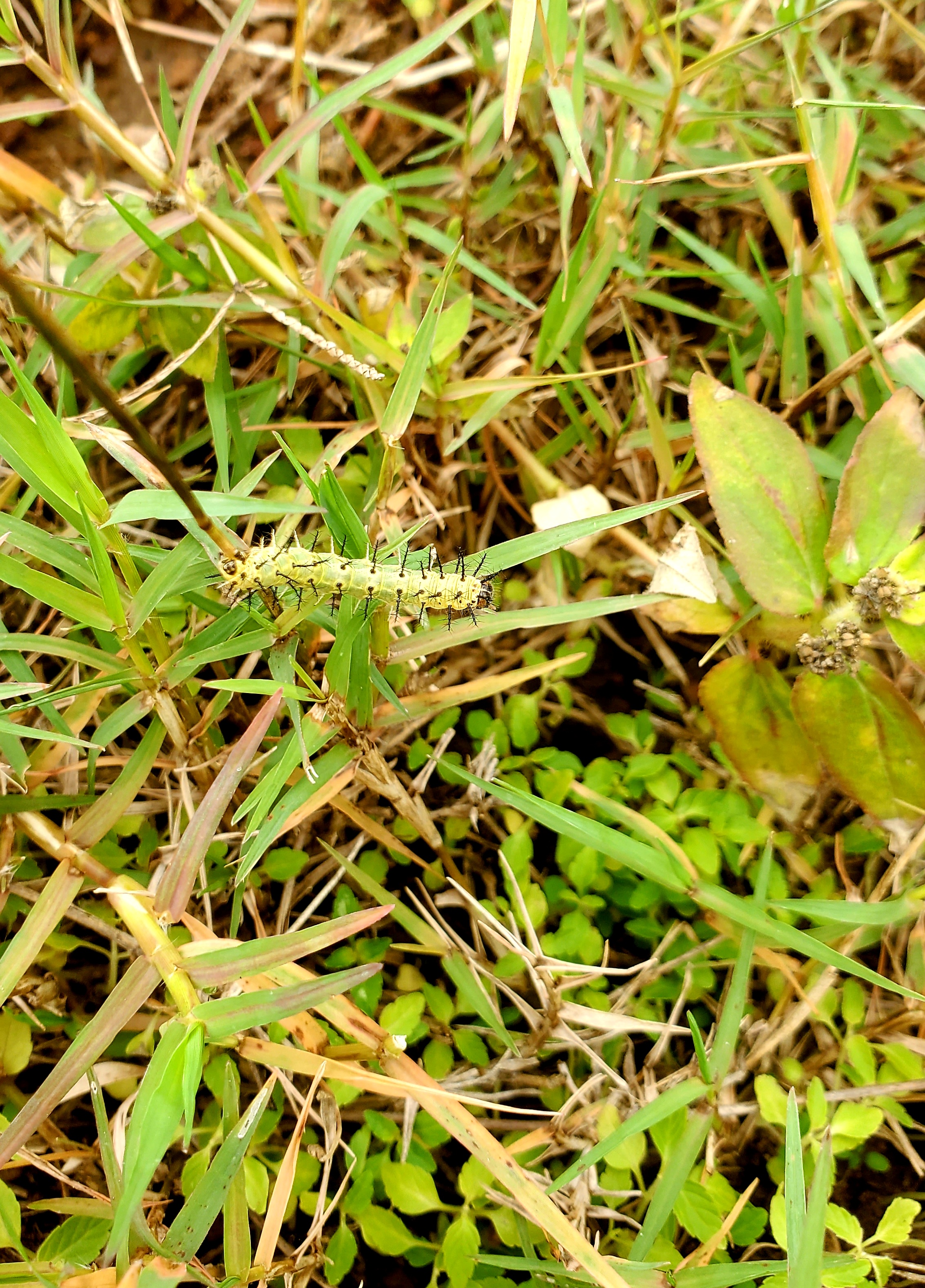 20260615_101448.jpg