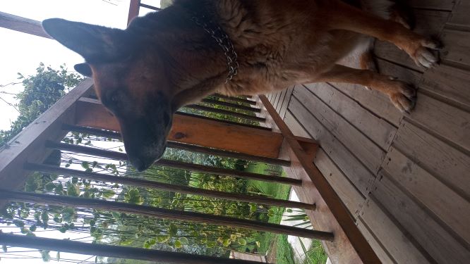 IMG-20210309-WA0019.jpeg