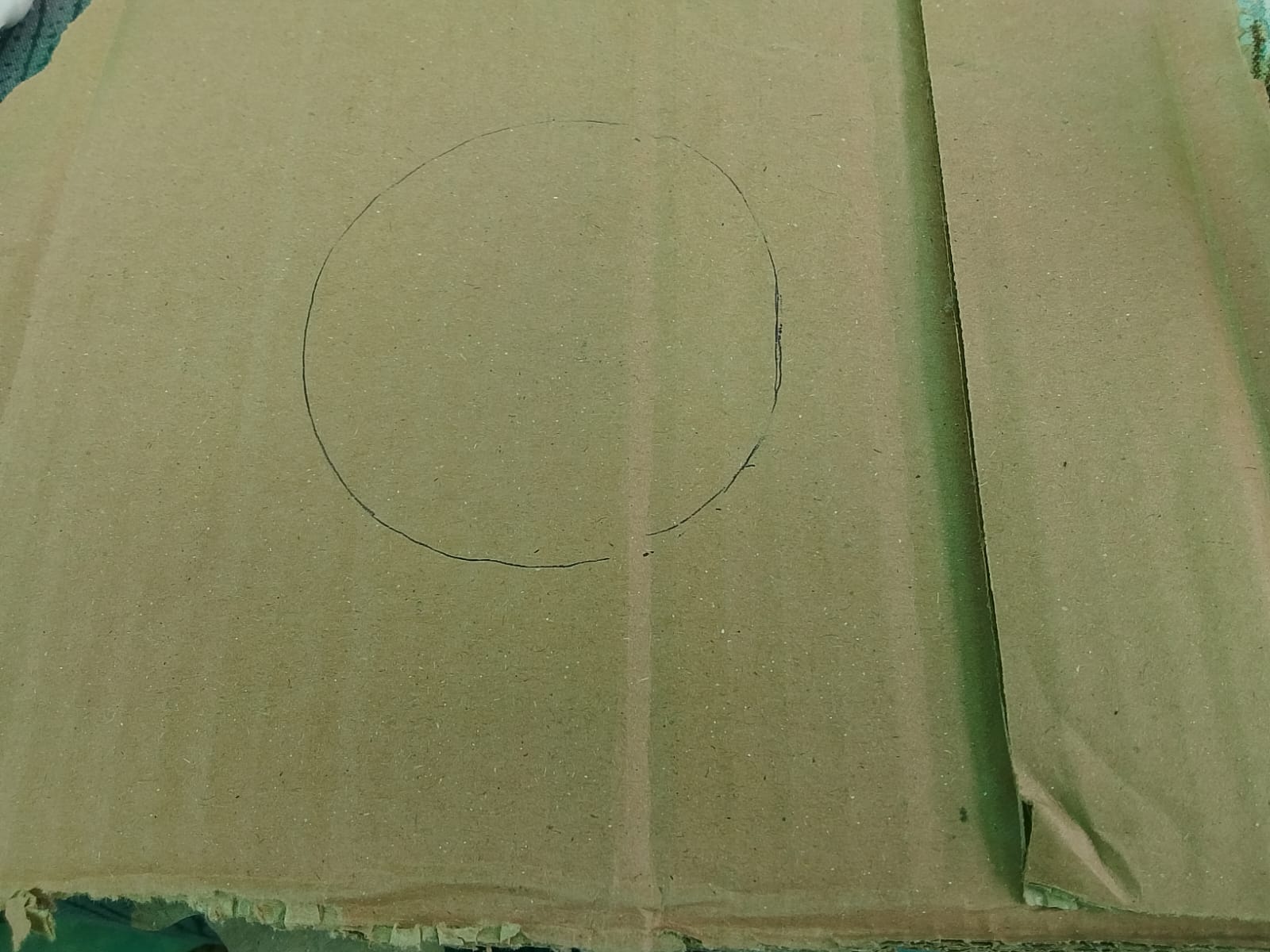 1000228458.jpg