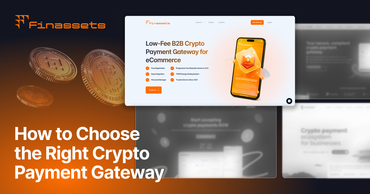 How to Choose the Right Crypto Payment Gateway.jpg