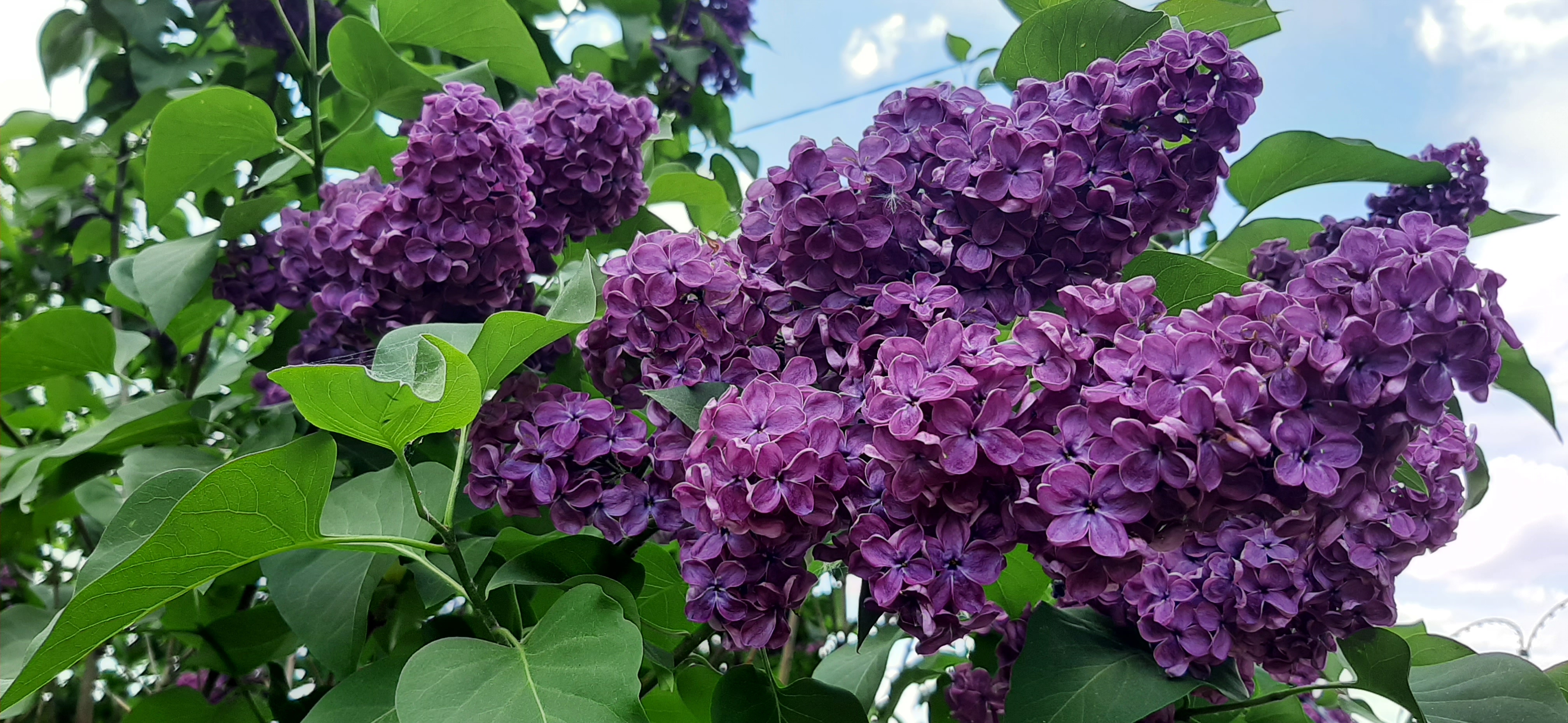 20220607_122855.jpg