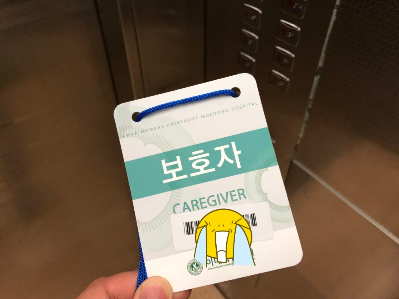 KakaoTalk_Photo_2018-07-01-00-05-42.jpeg