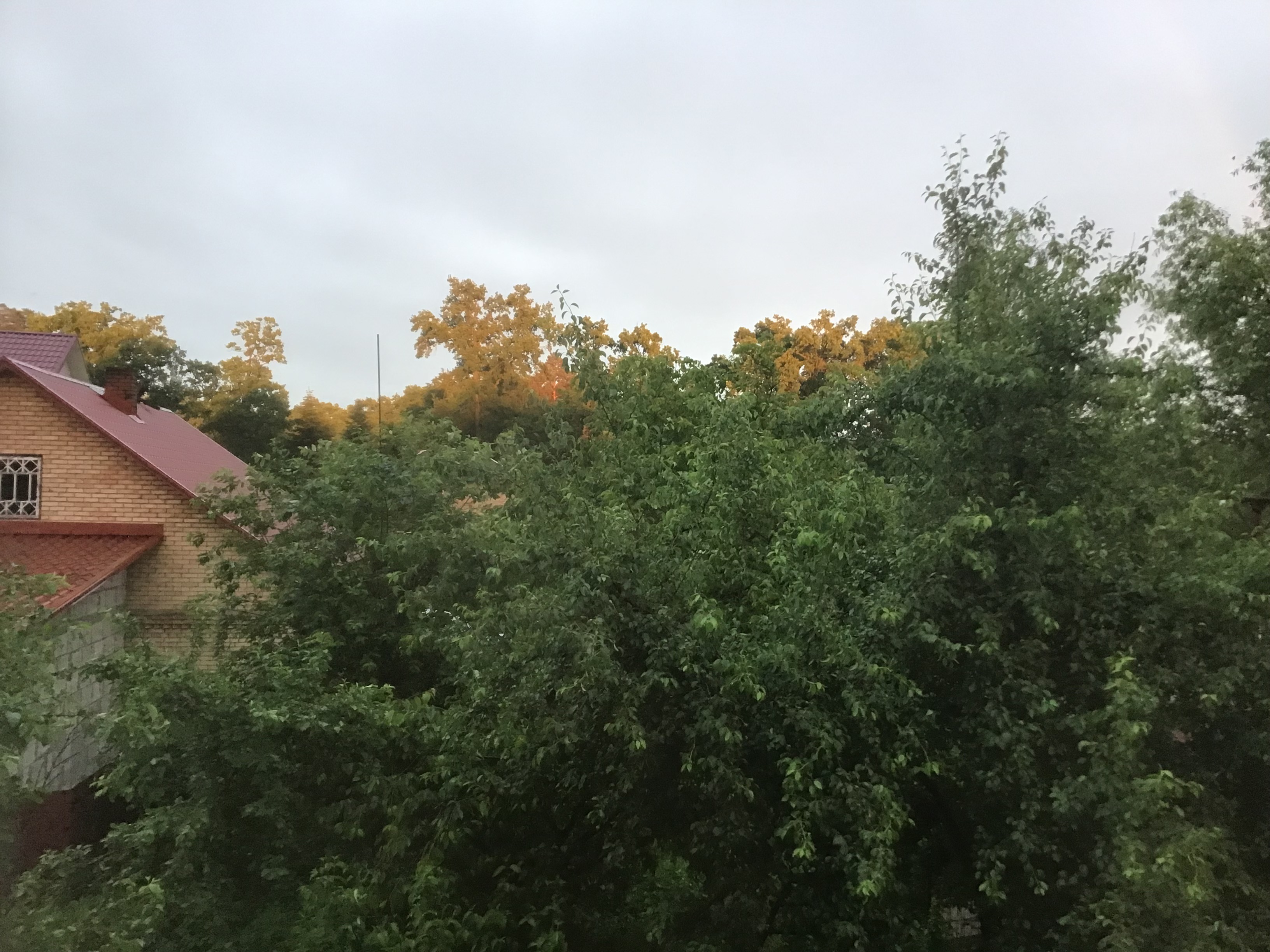IMG_5702.jpeg