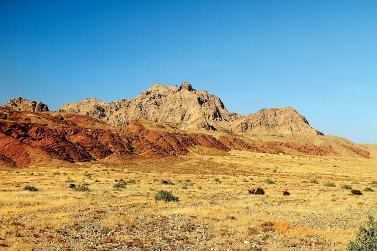 《飞鸟与夏花》每天一首自译飞鸟集（186/325） - Translate a poem form Stray Birds everyday