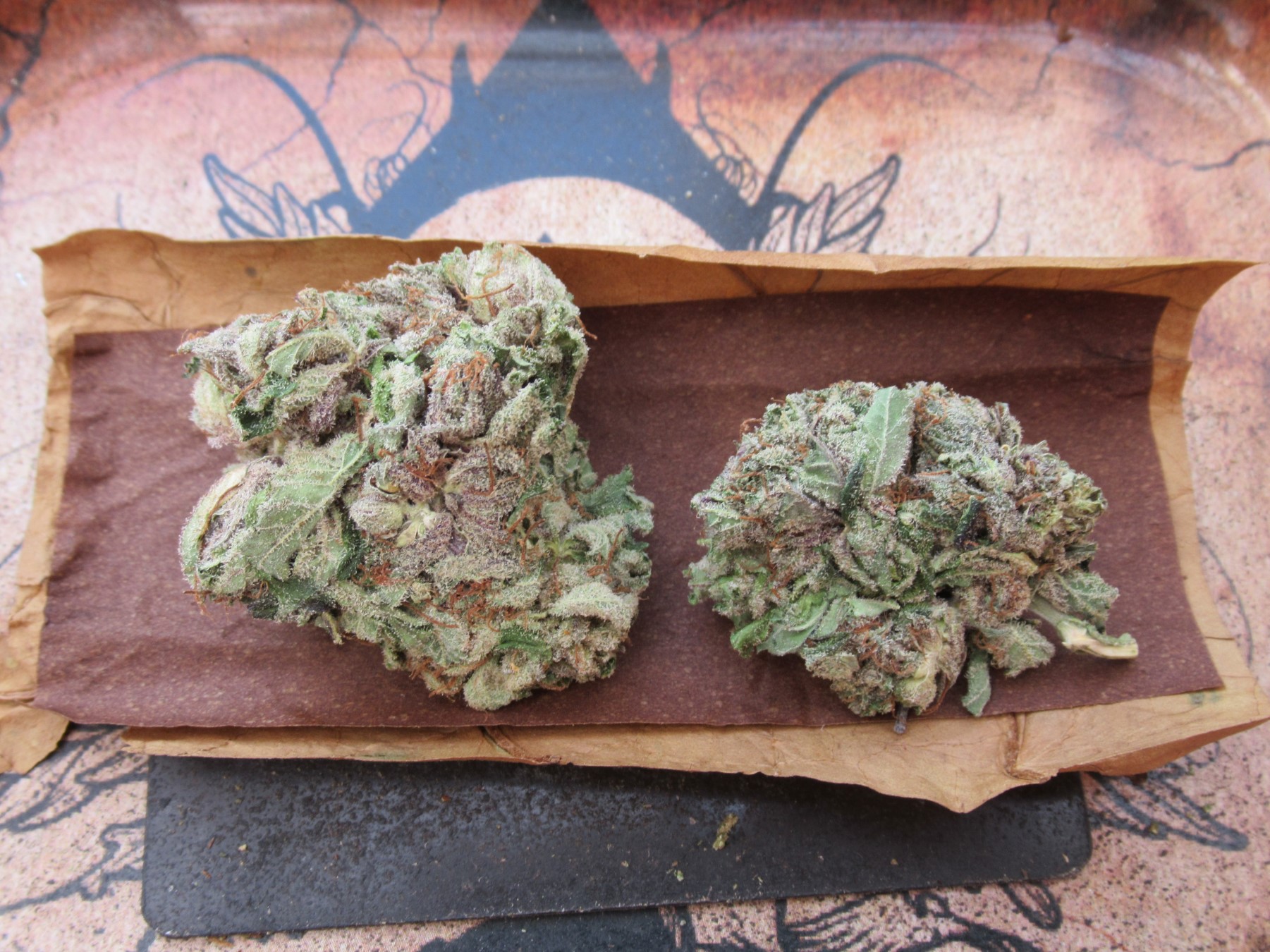 fullnugdubtop.jpg