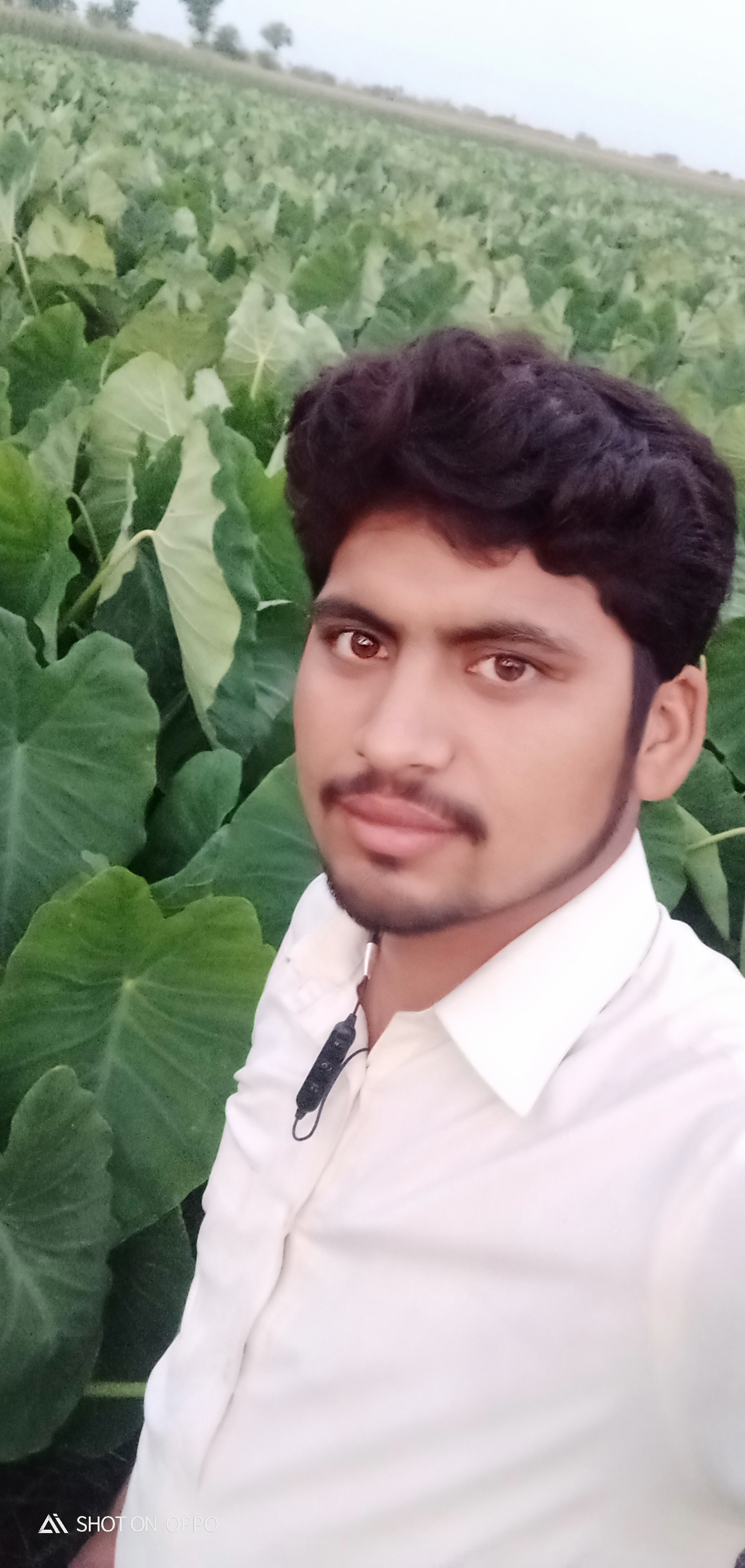 IMG20210604191244.jpg