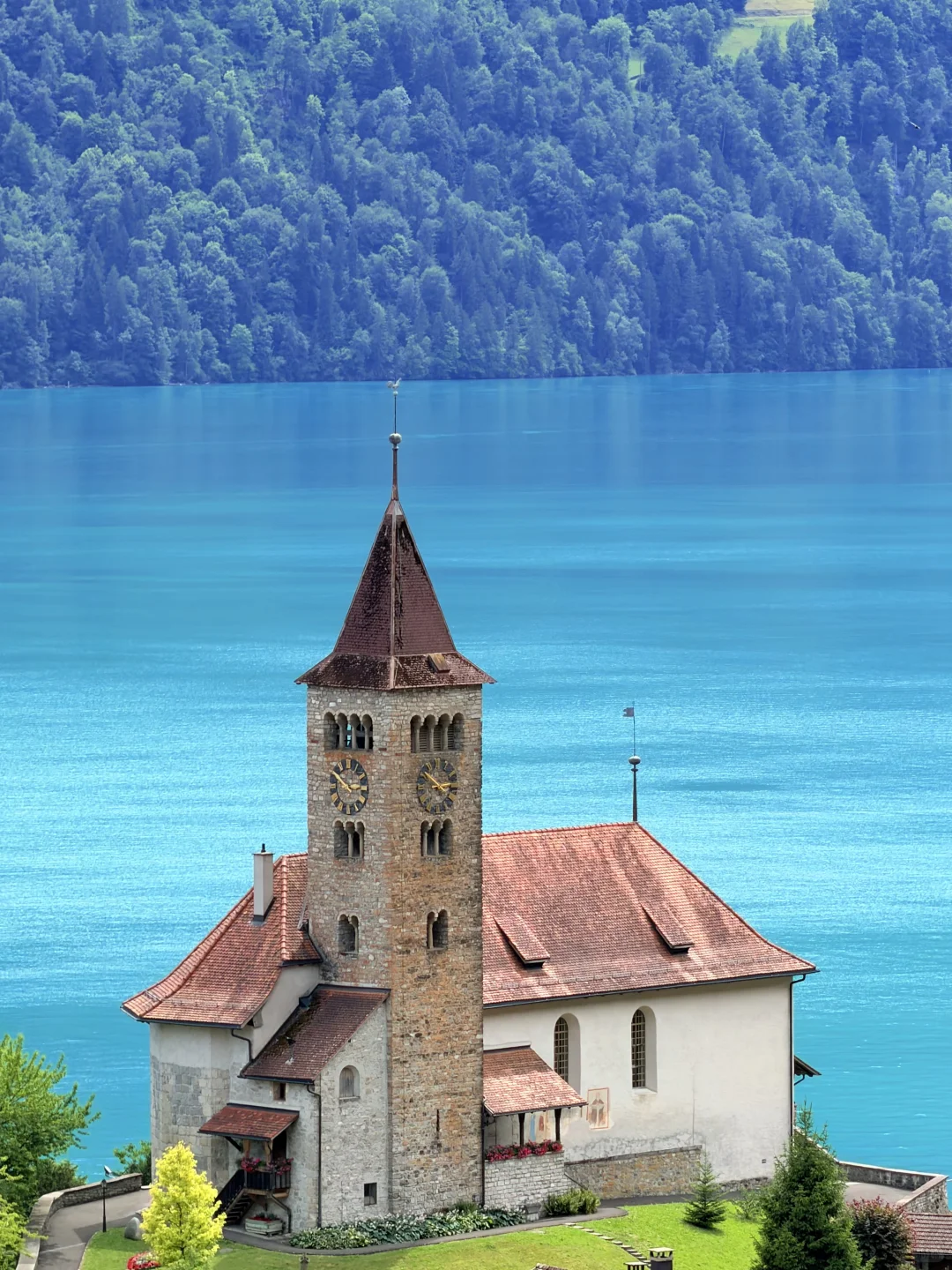 335.webp