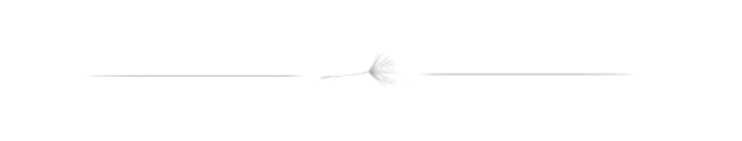 separador+dandelion+.png