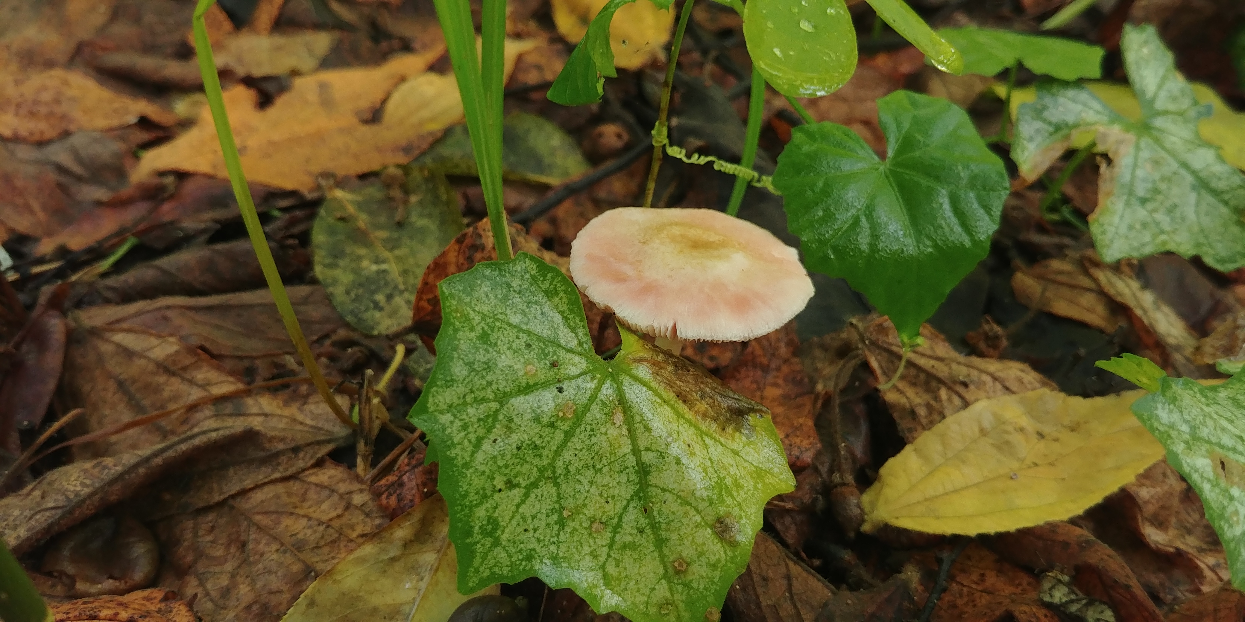 20180906_101641.jpg