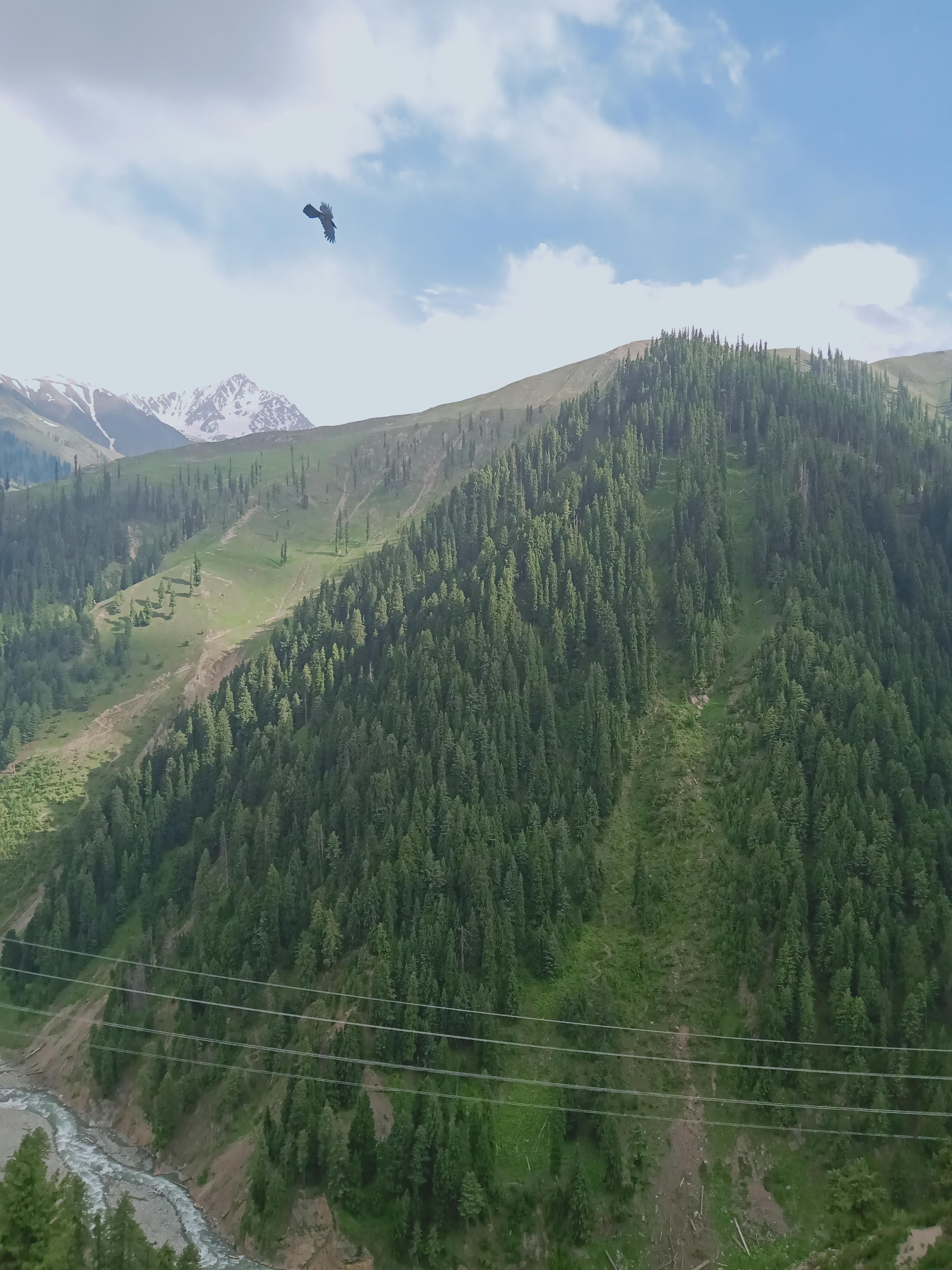 IMG20190622164547.jpg
