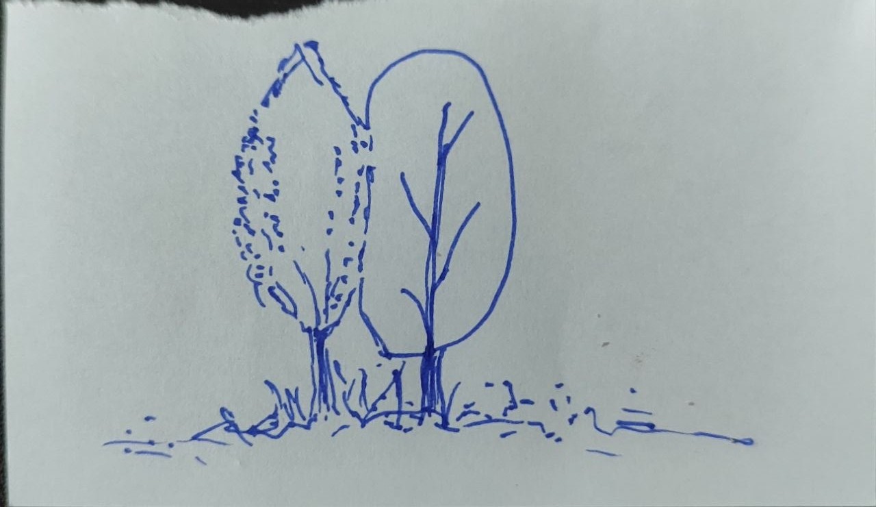 tree.jpg