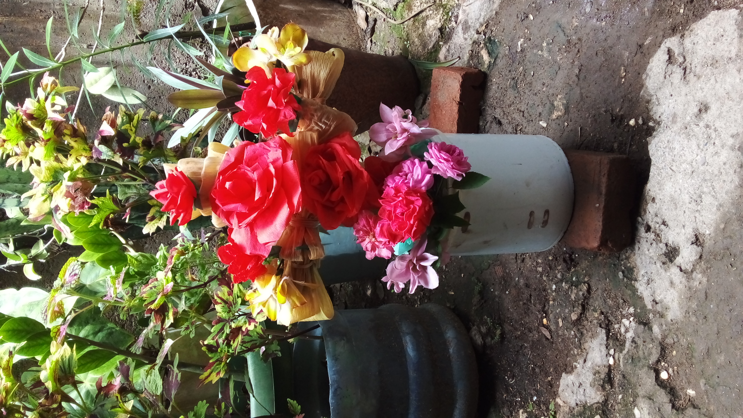 20210503_112251.jpg