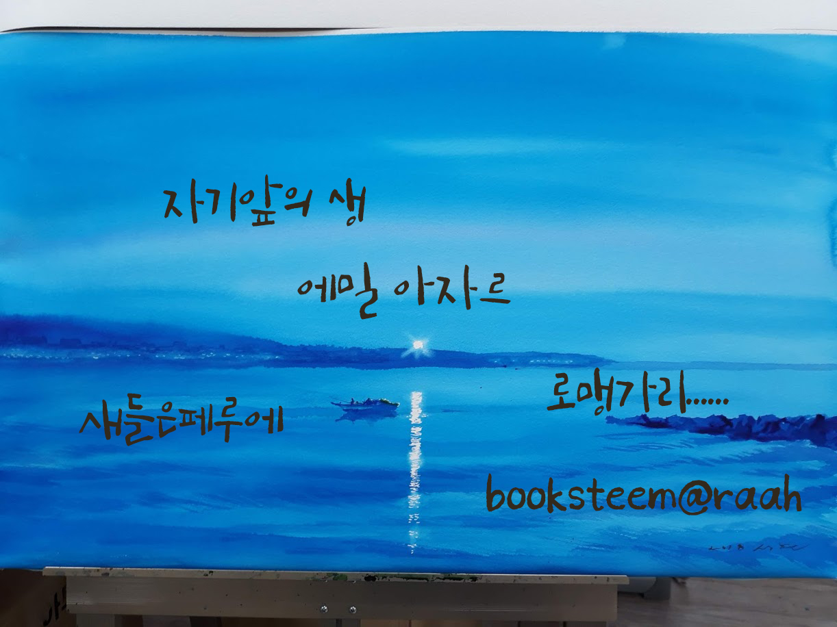   [booksteem  자기앞의 생] 에밀아자르 or 로맹가리