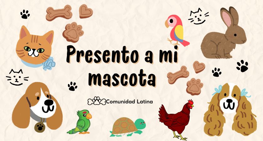 Diseño sin título (2).jpg