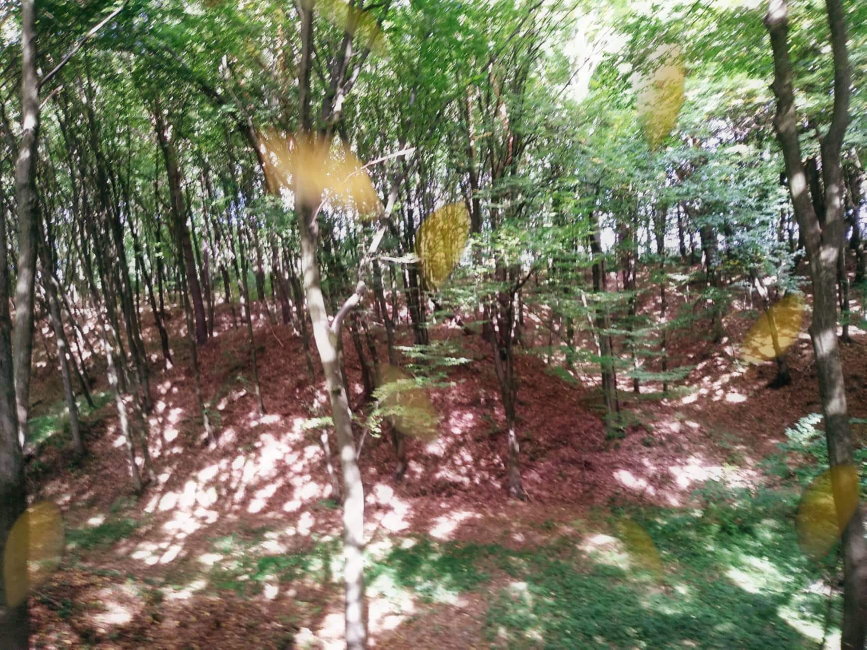 received_361390068149921.jpeg