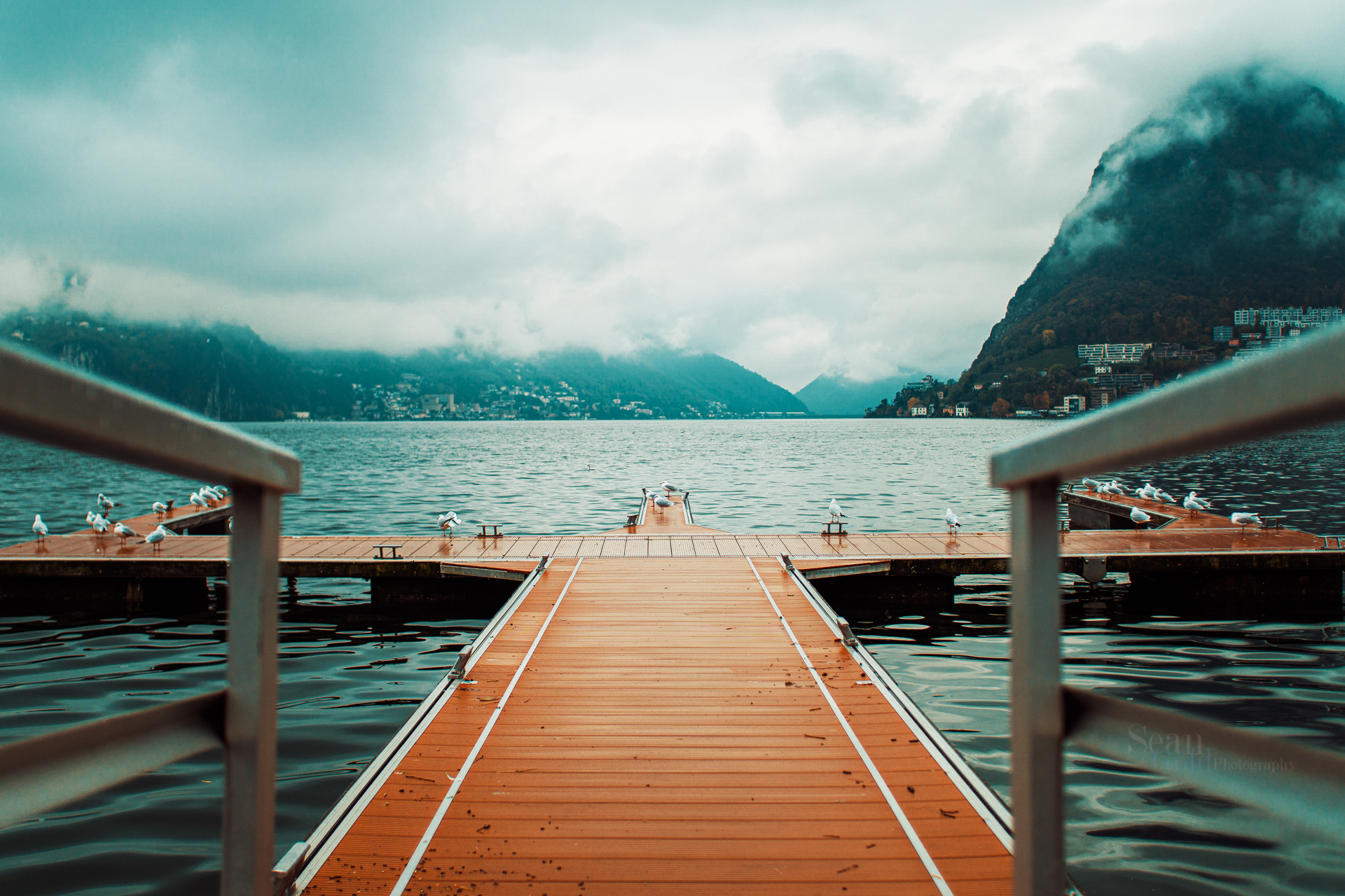 Sean_Gold_November 10, 2018_56508-Edit-WebExport.jpg
