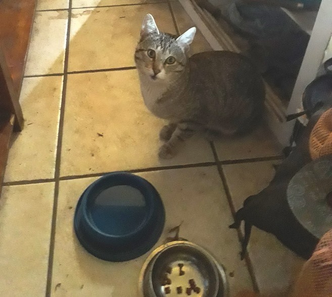 visitor.jpg