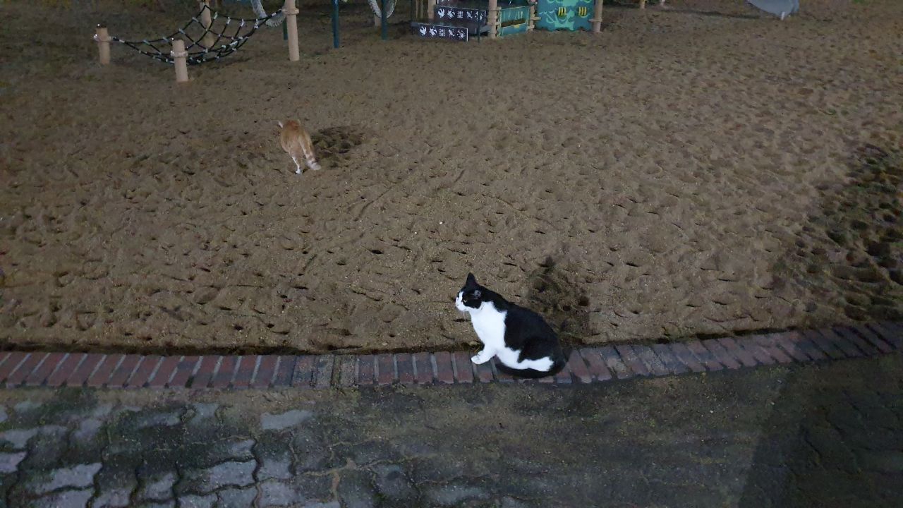IMAGE 2019-09-04 21:22:42.jpg