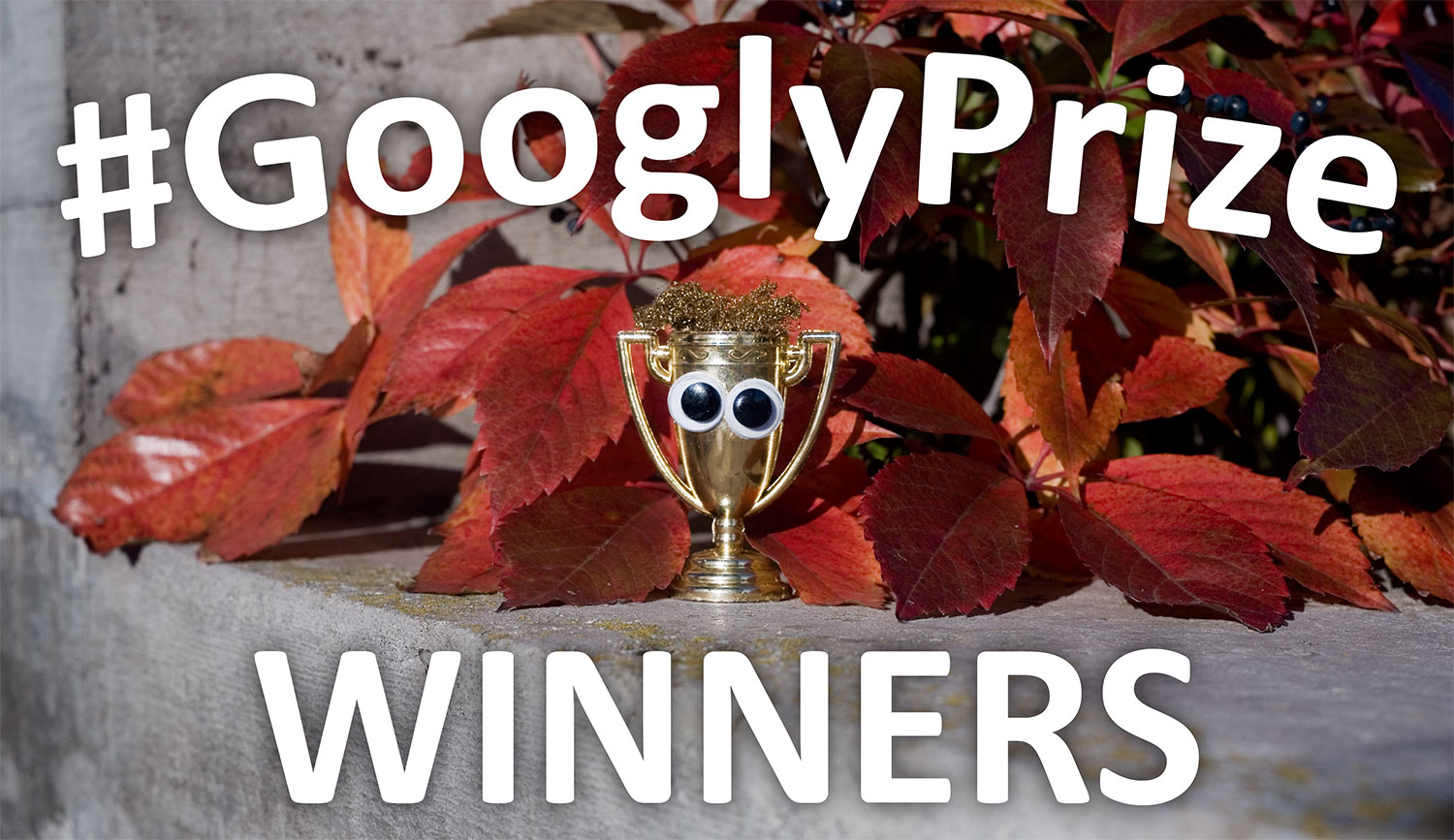 GooglyPrize GooglyEyes TitleImage Vol104