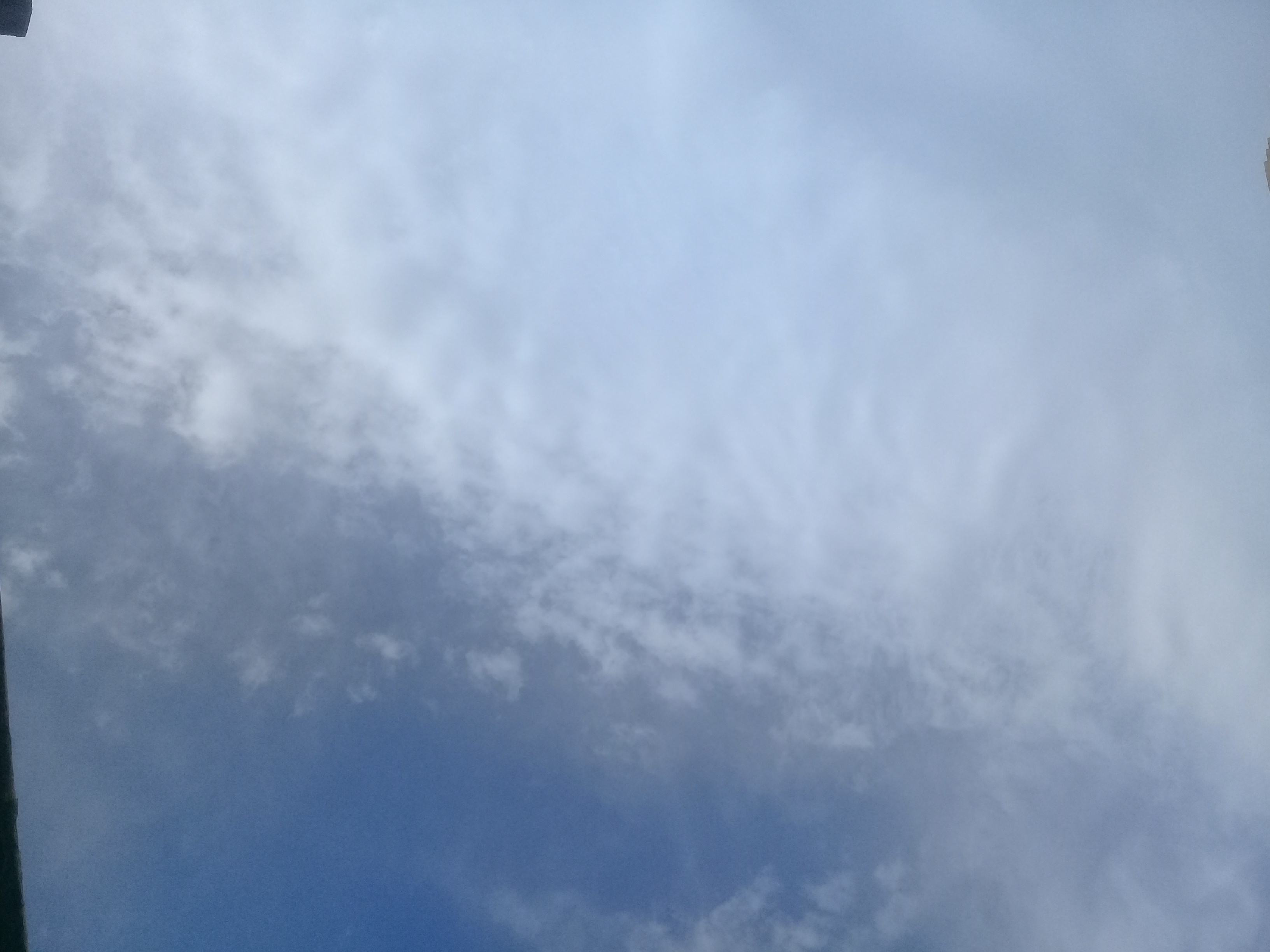 20210720_161703.jpg