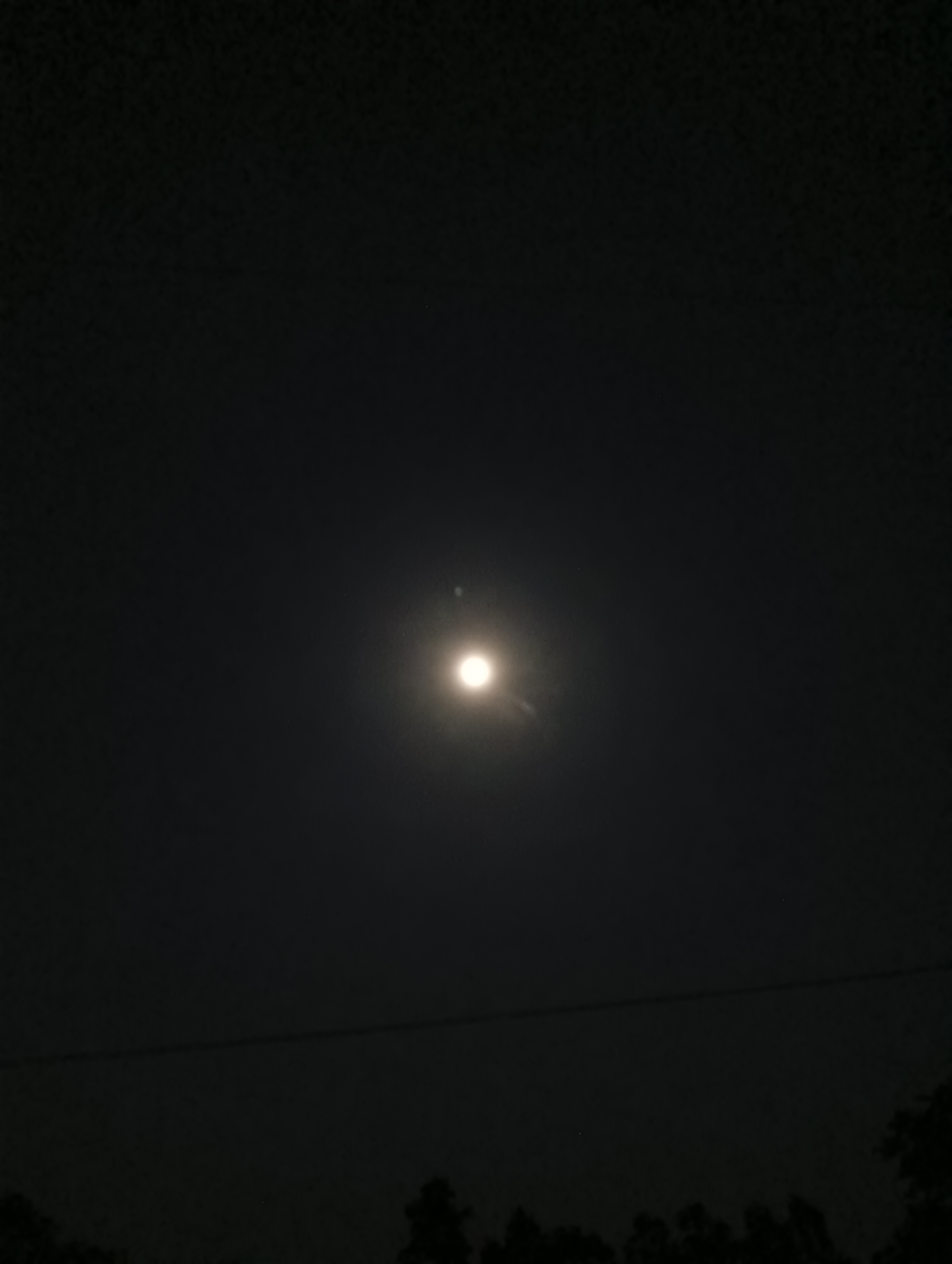 1000275294.jpg