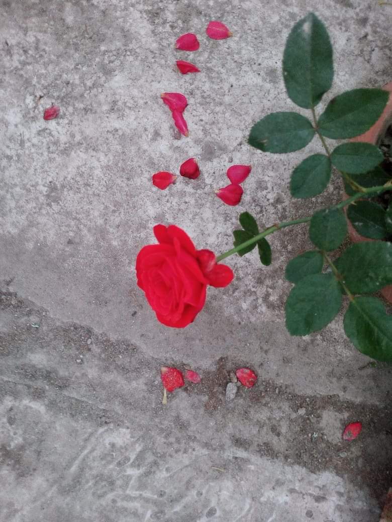 received_575546939690435.jpeg