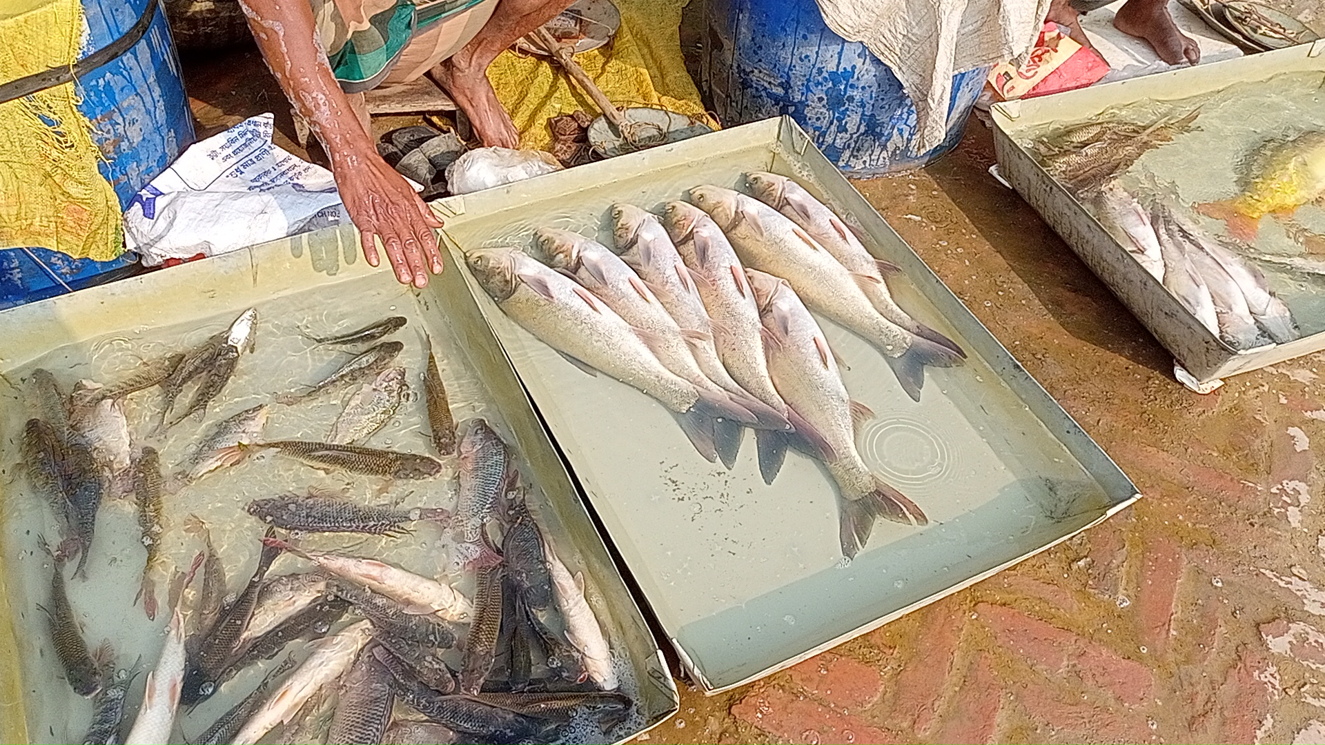 IMG20260120143457.jpg