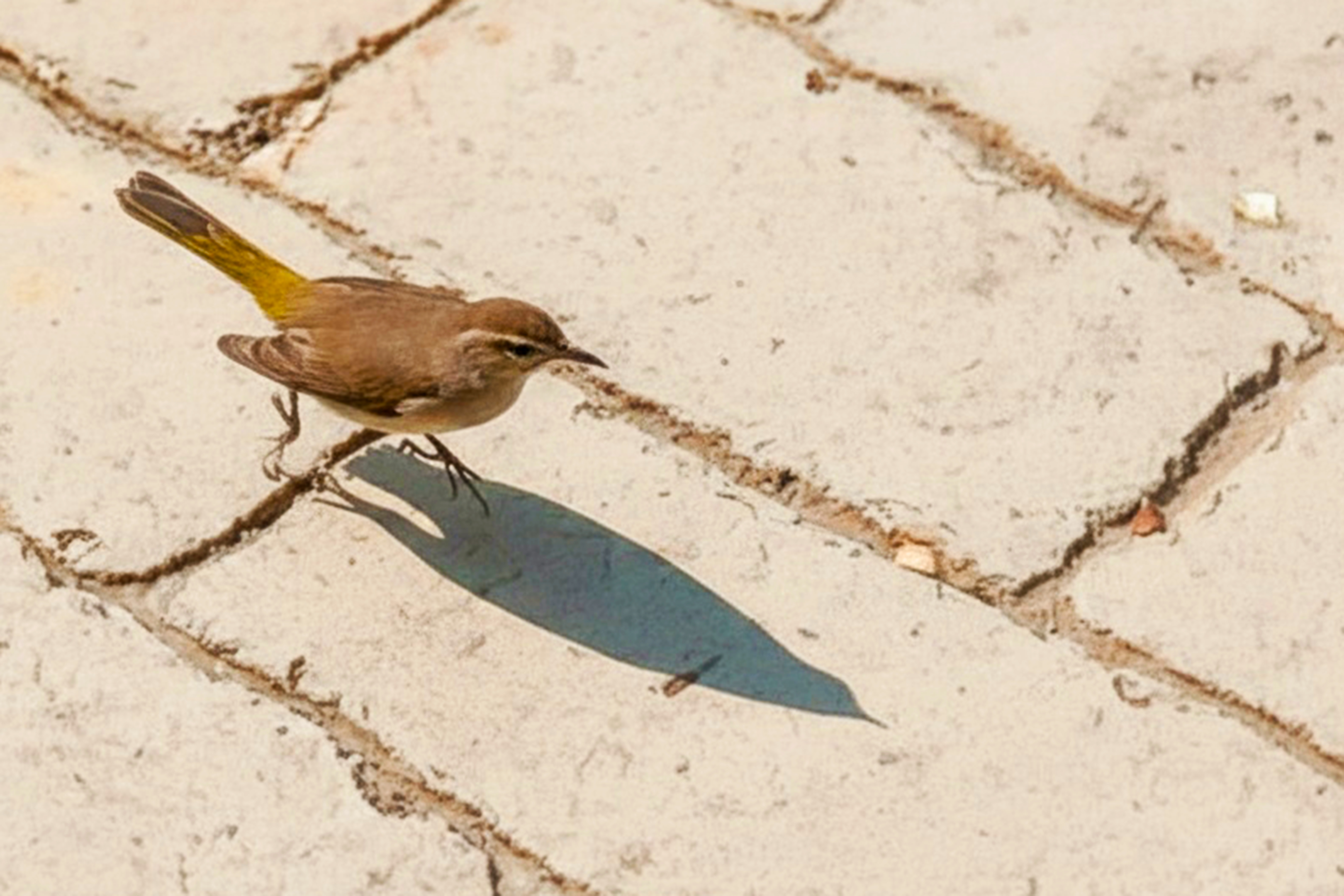 1760900934623 (1).jpg