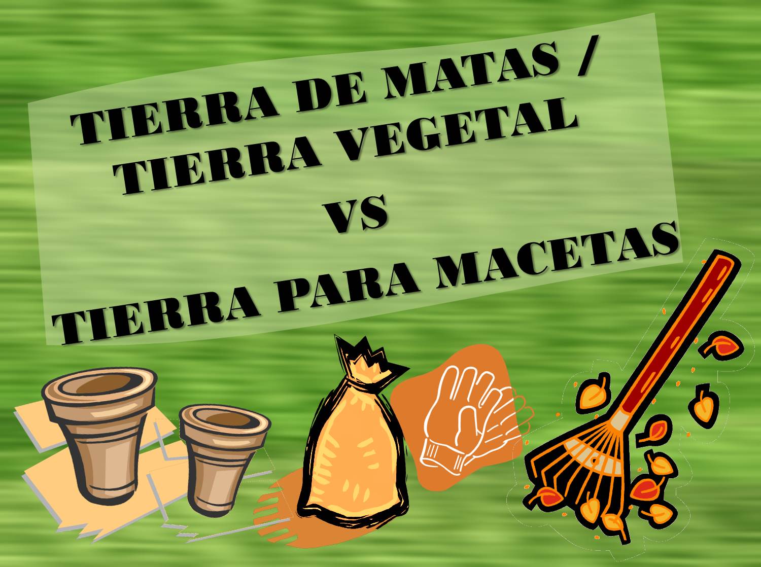 Gabyann27TierraMatas-1.jpg