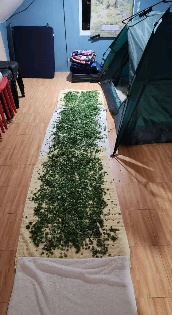 1000345957.jpg