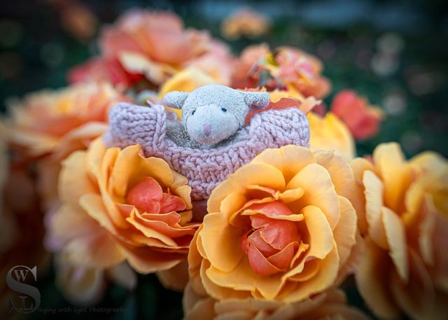 7ohP4GDMGPrUMp8dW6yuJTR9MKNu8P8DCXDU9qmmkEDBuk9dmzfyiYnhmRM2sy5AWjwjG73zrfr8ae4DcE8LRy2nfJLdVt3g4ATx.jpg