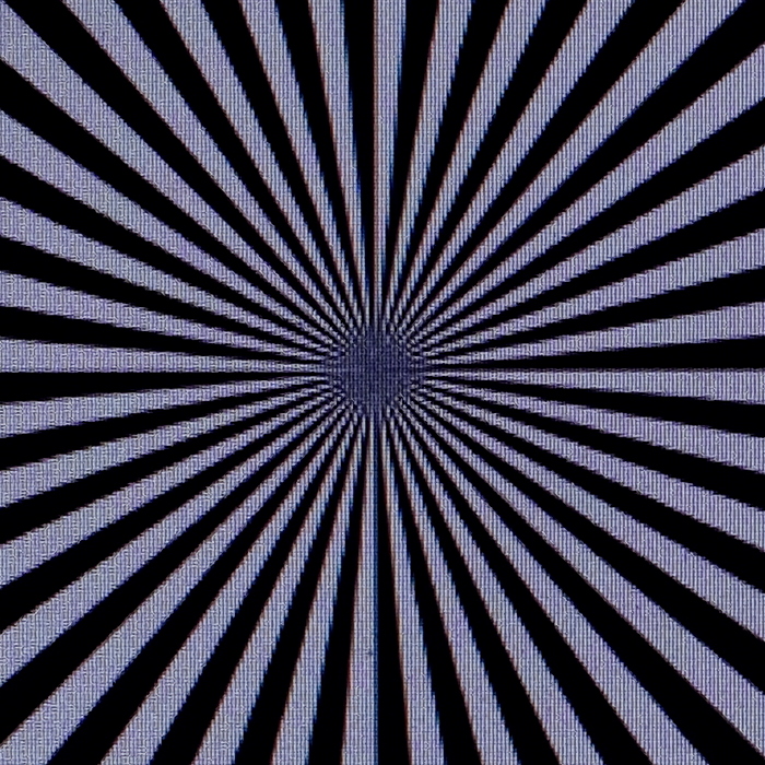 04 Nikon-5,6-DSCF6841-fs_cr-c.jpg