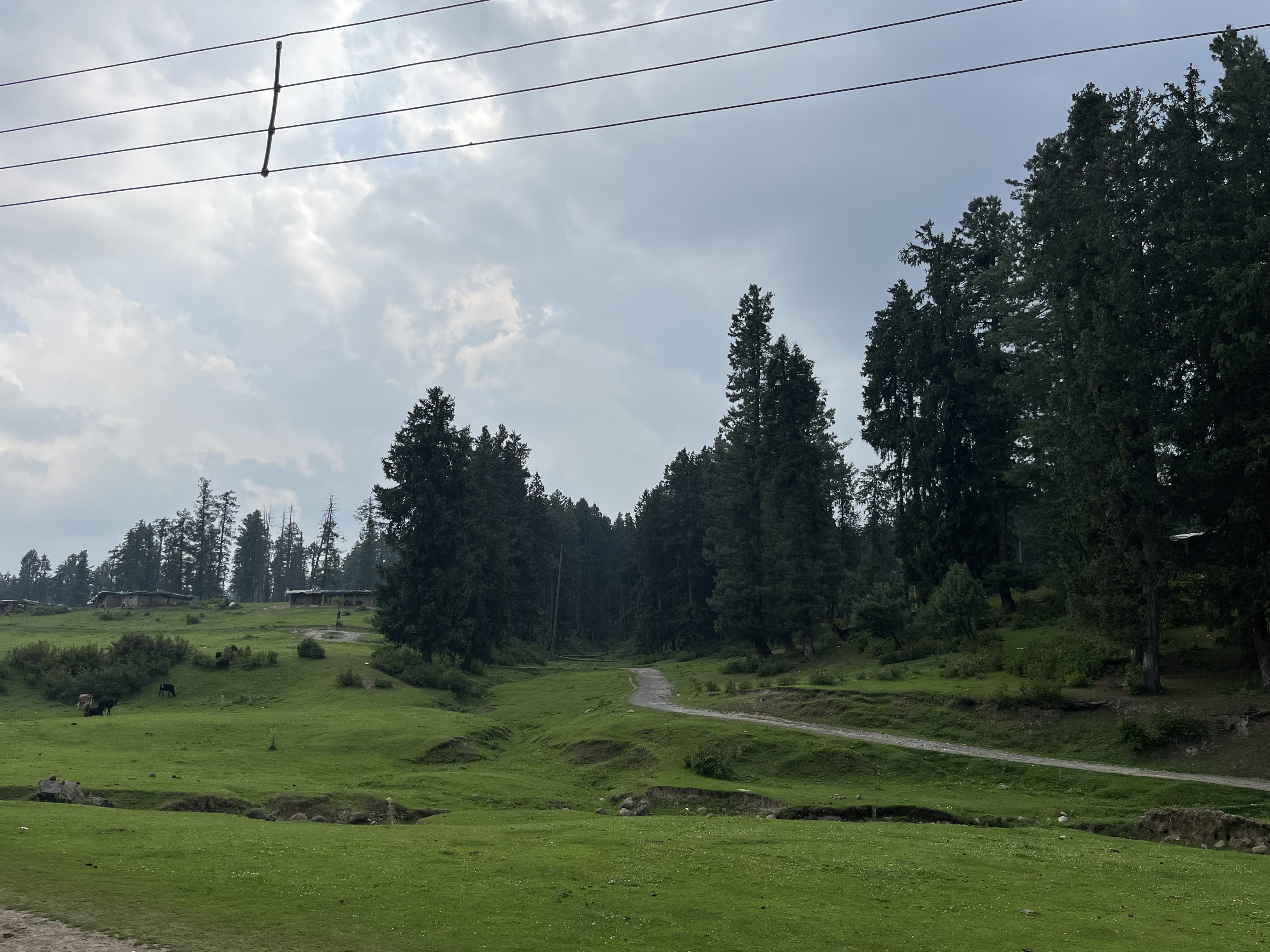 IMG_1052.jpeg