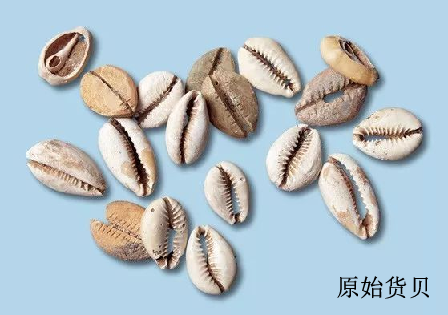 0CEAC9BC-54E8-4257-9F01-F7BC7416E0C2.png