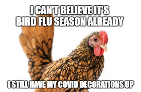 Health1 chicken.jpg