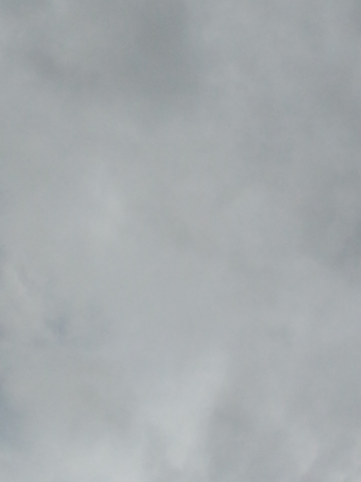 IMG_20200817_165954.jpg