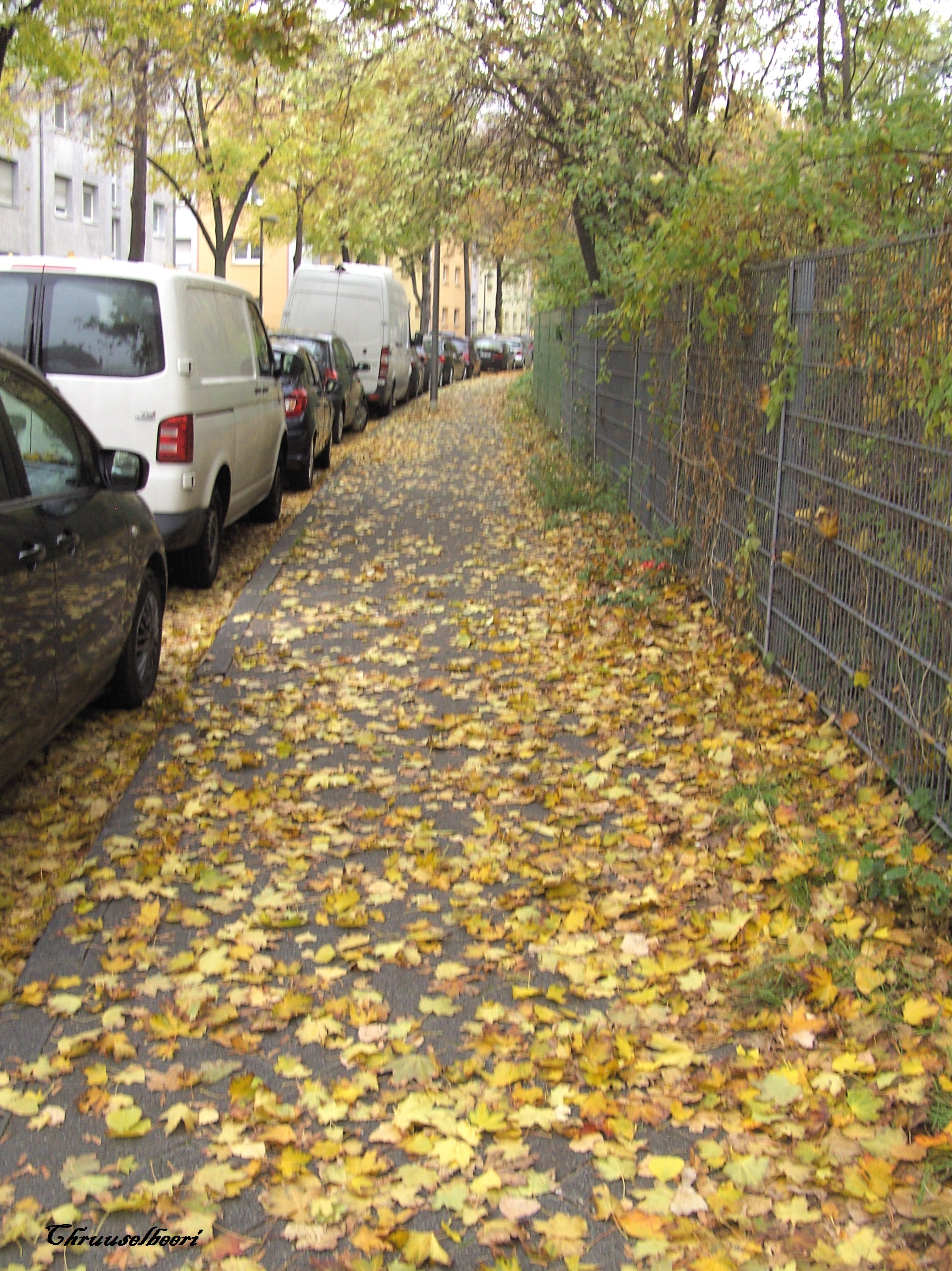 Novemberblues_07.jpg