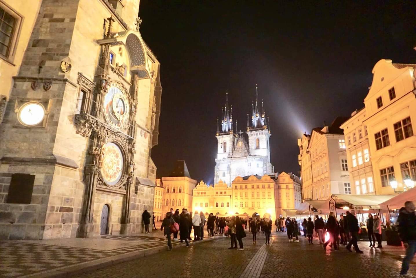 _IMG_1554316365700.jpg