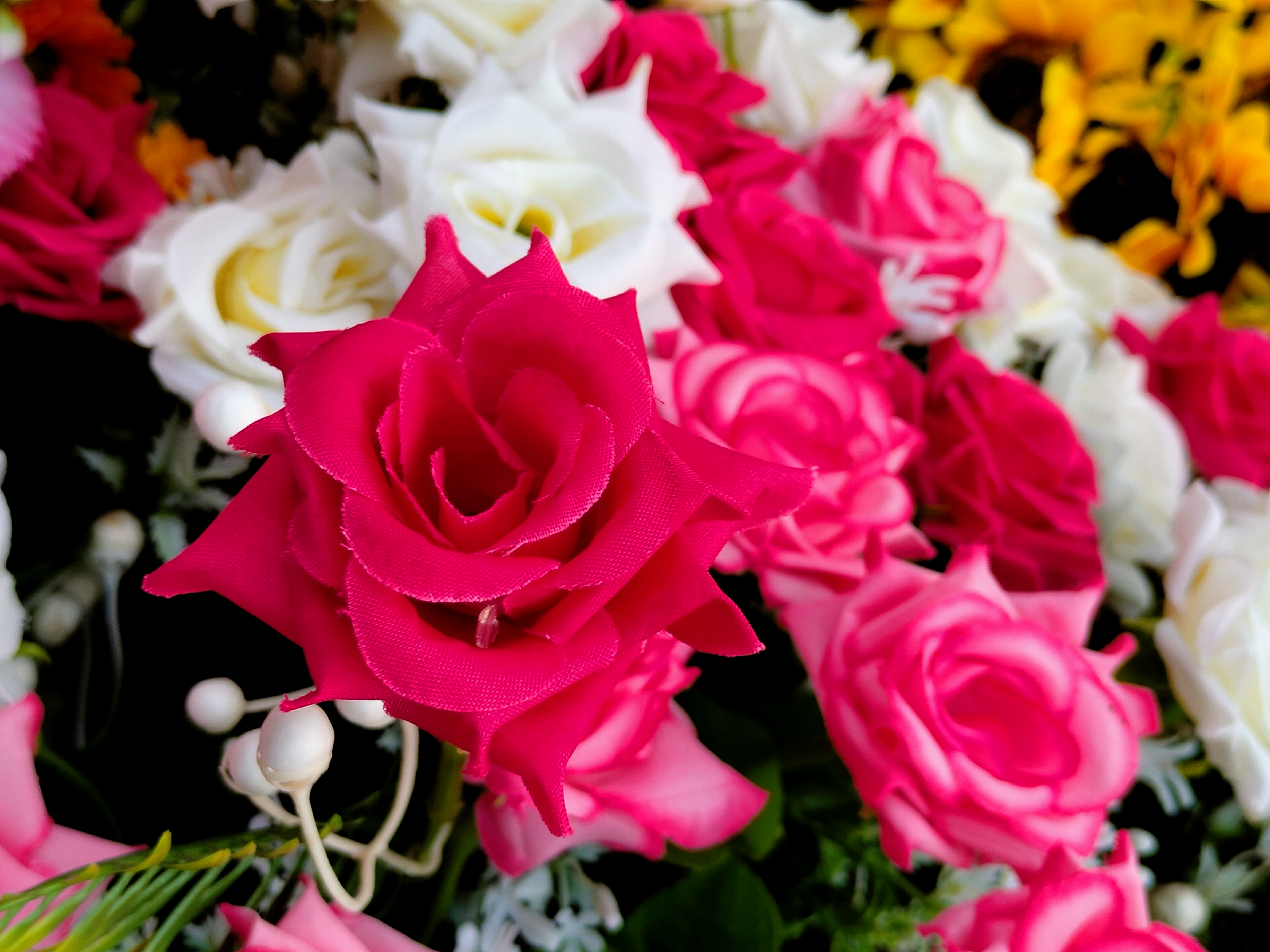 IMG20221017162008.jpg
